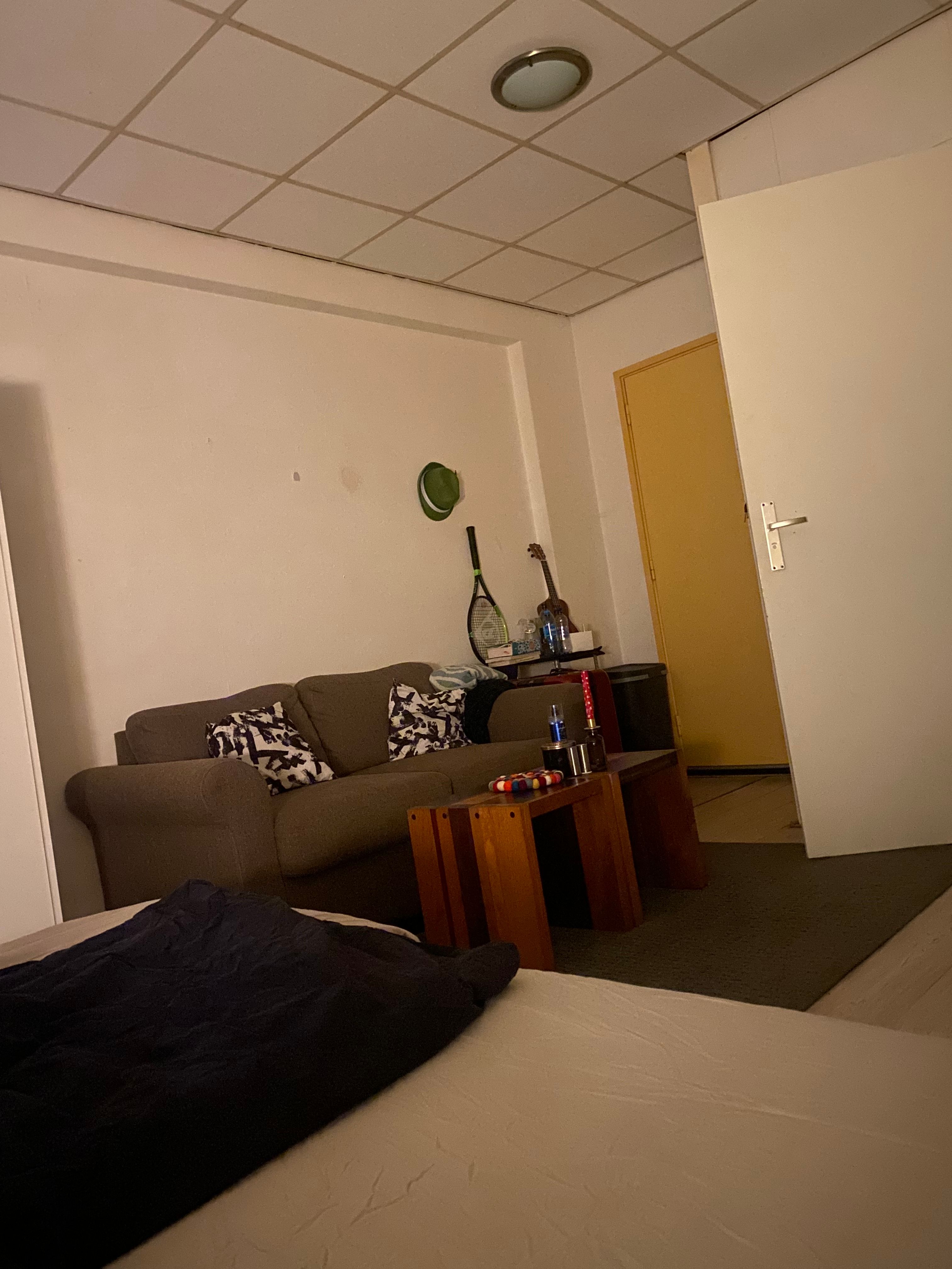 image-7