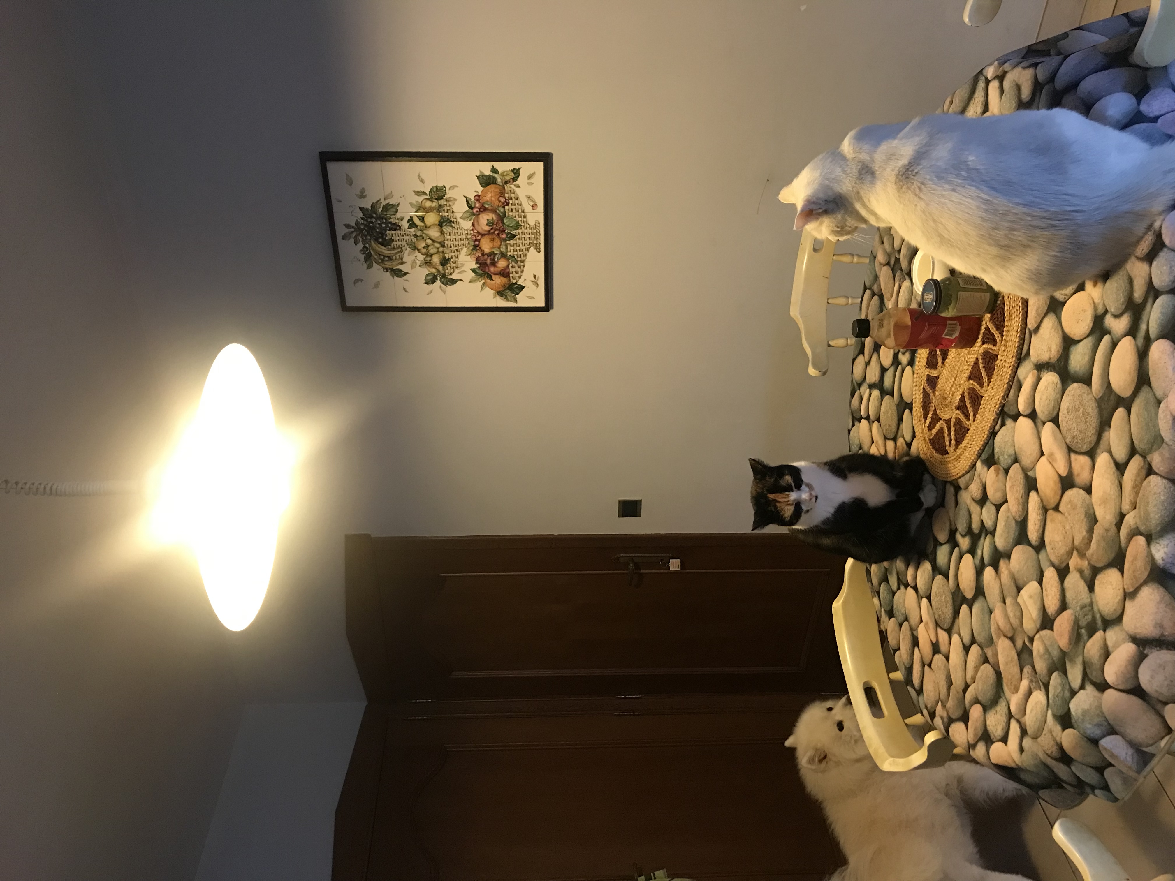image-5