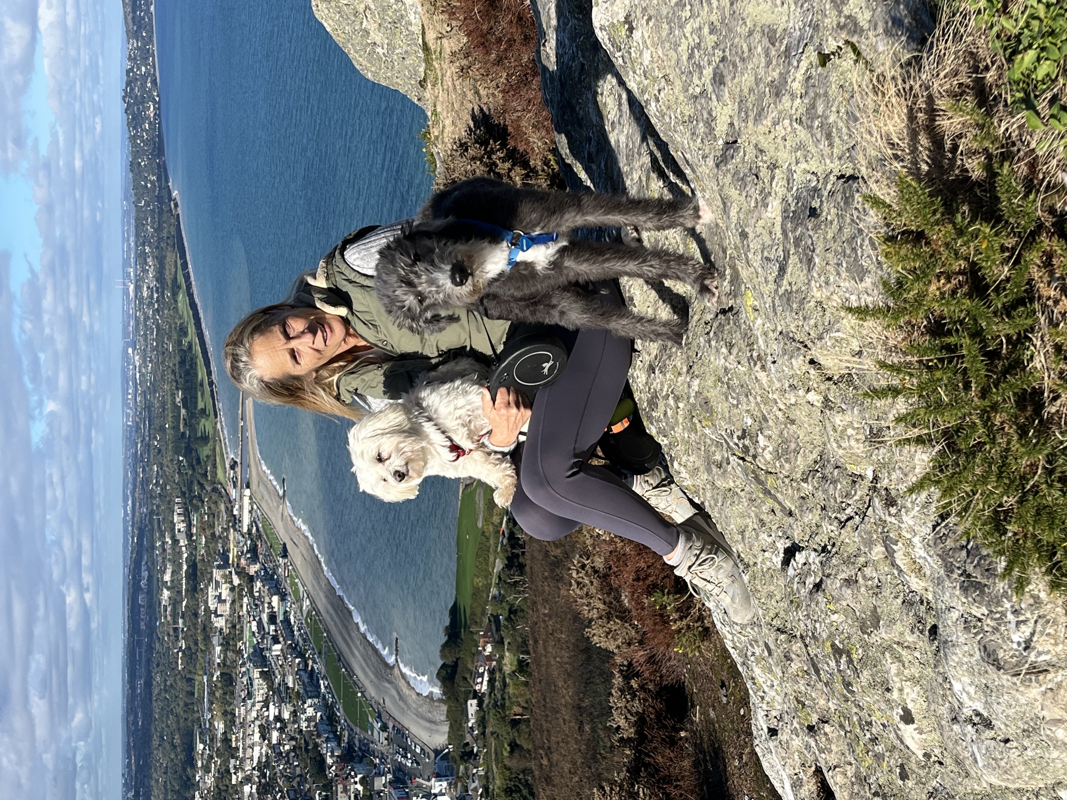 image-9