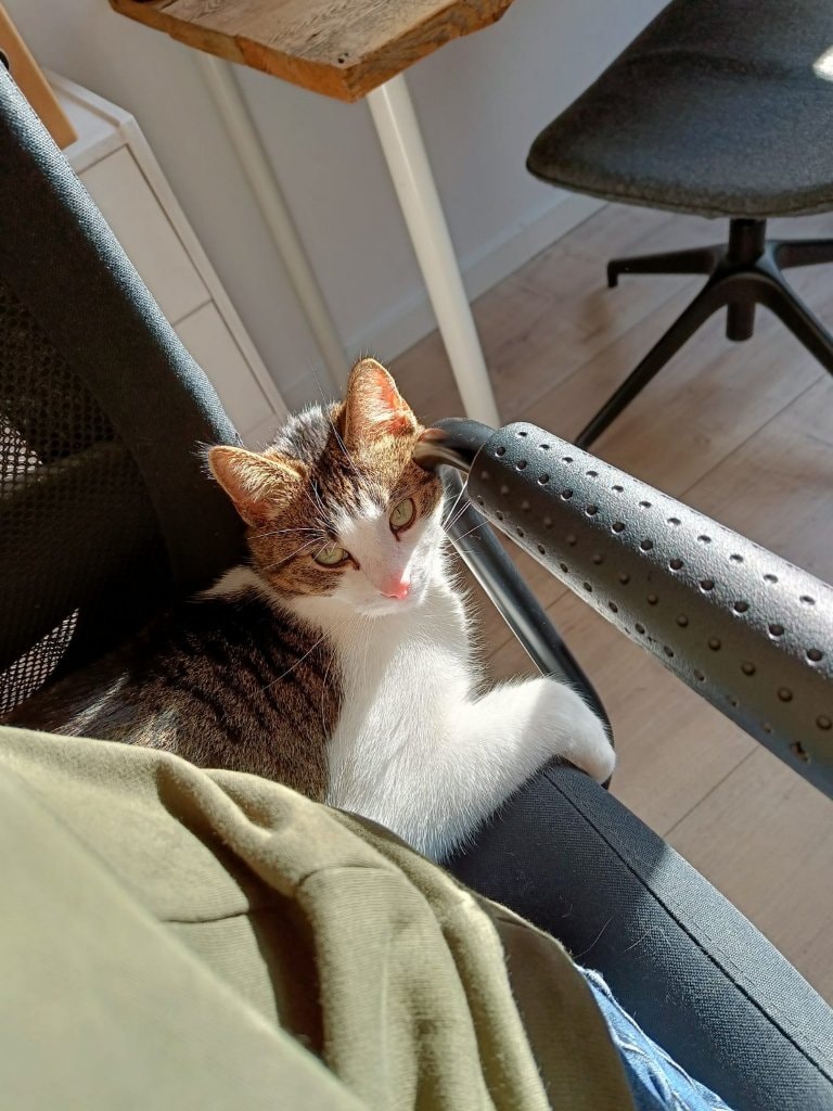 image-6