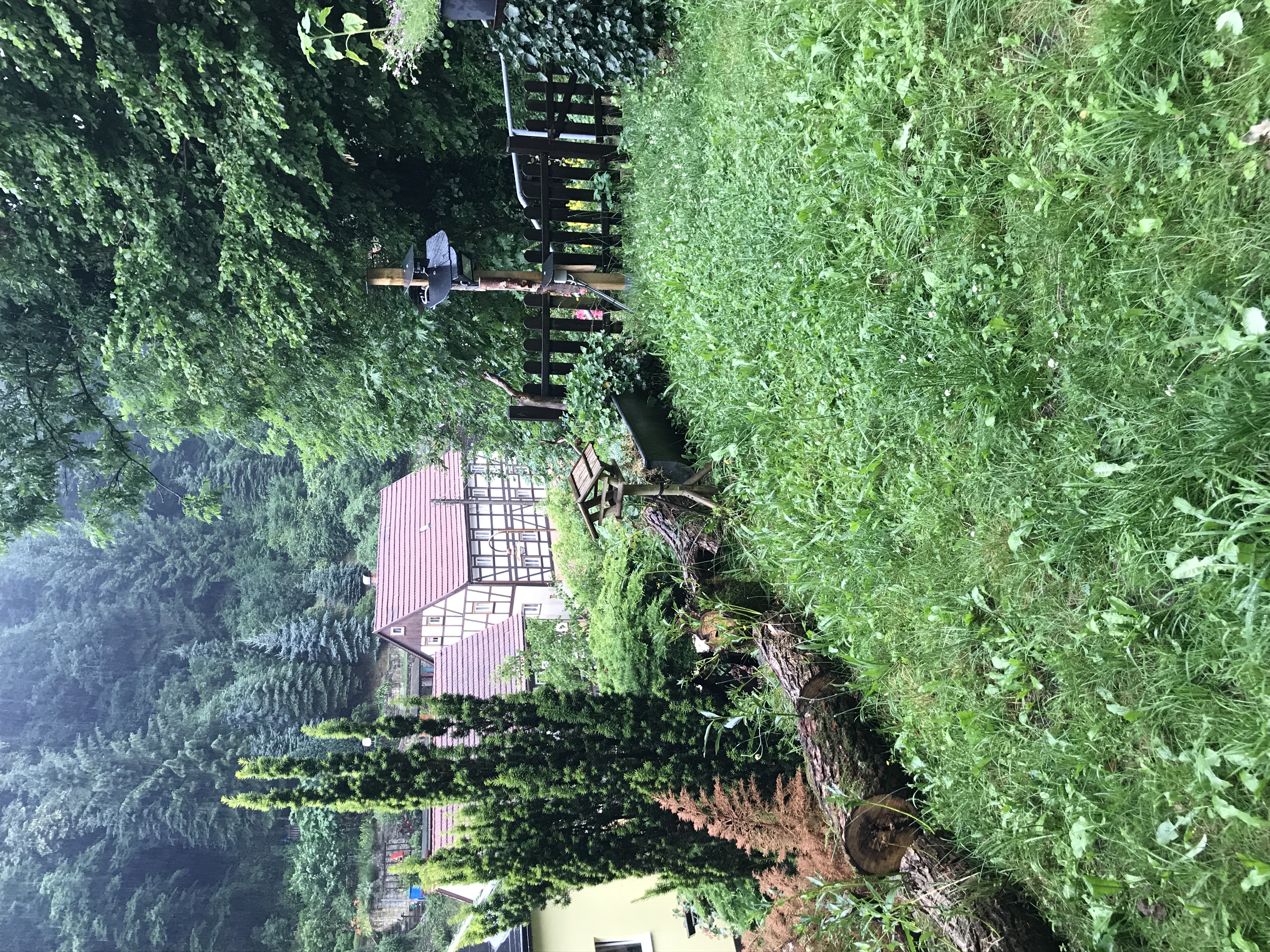 image-24