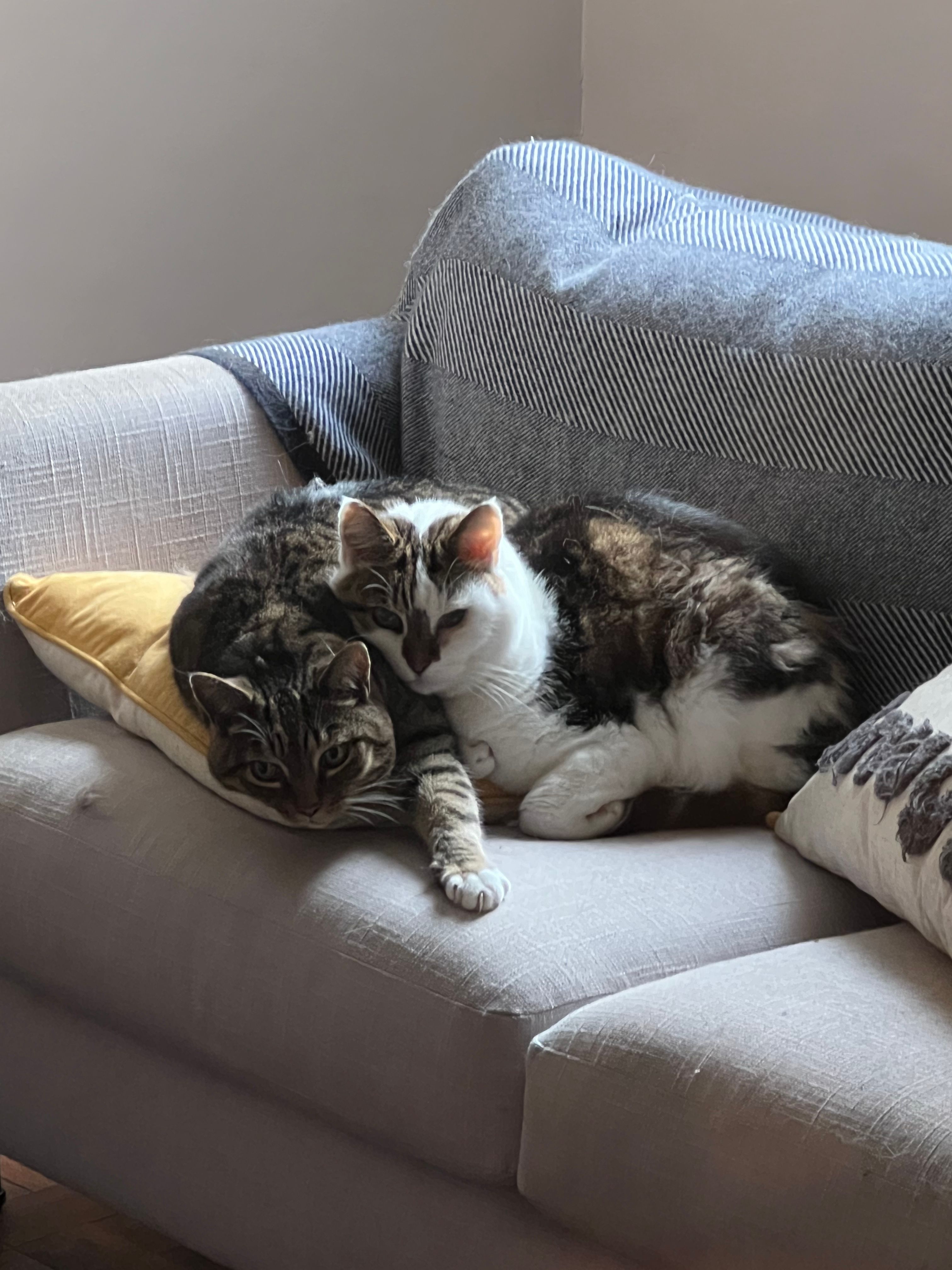 image-9