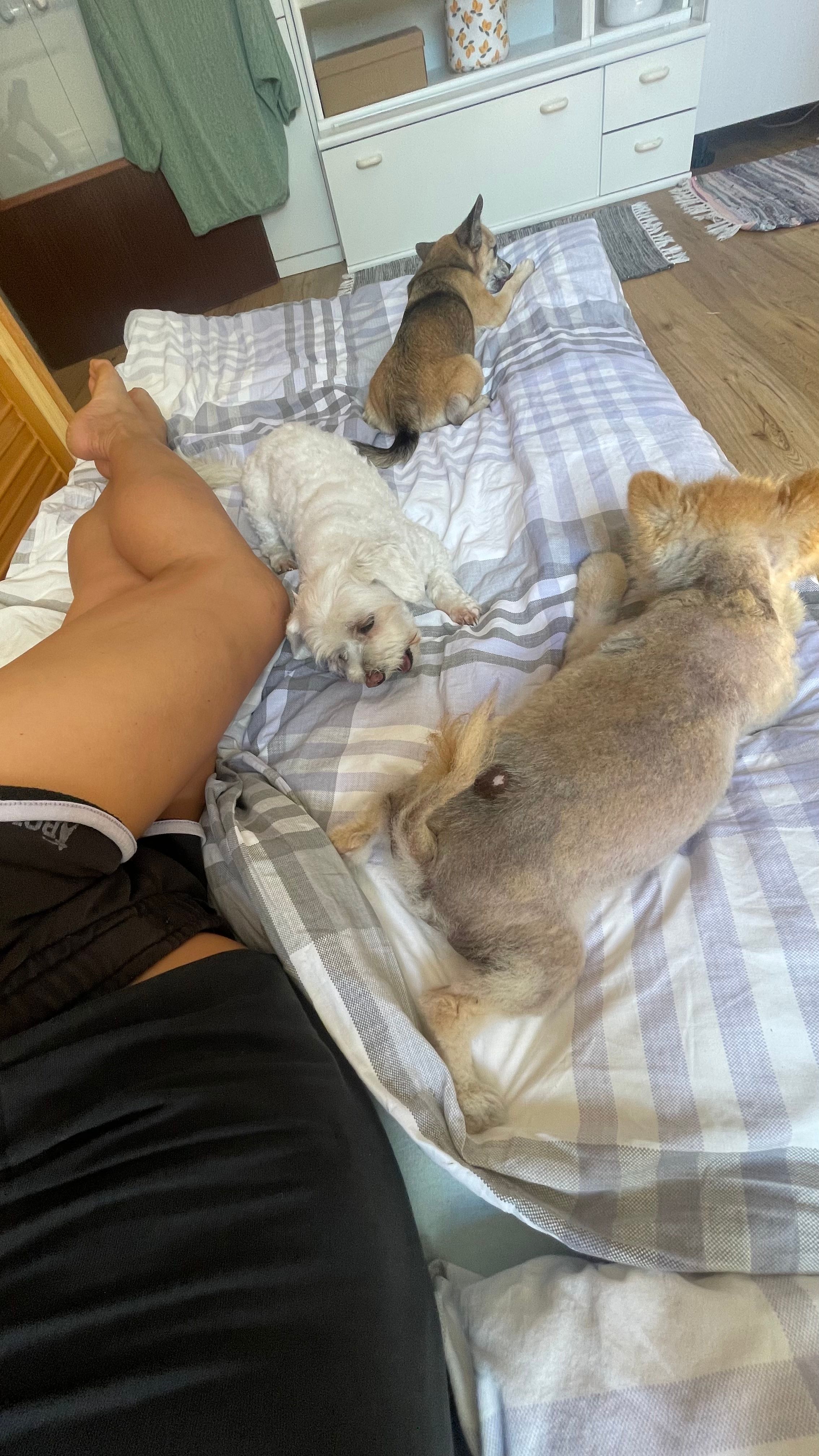 image-9