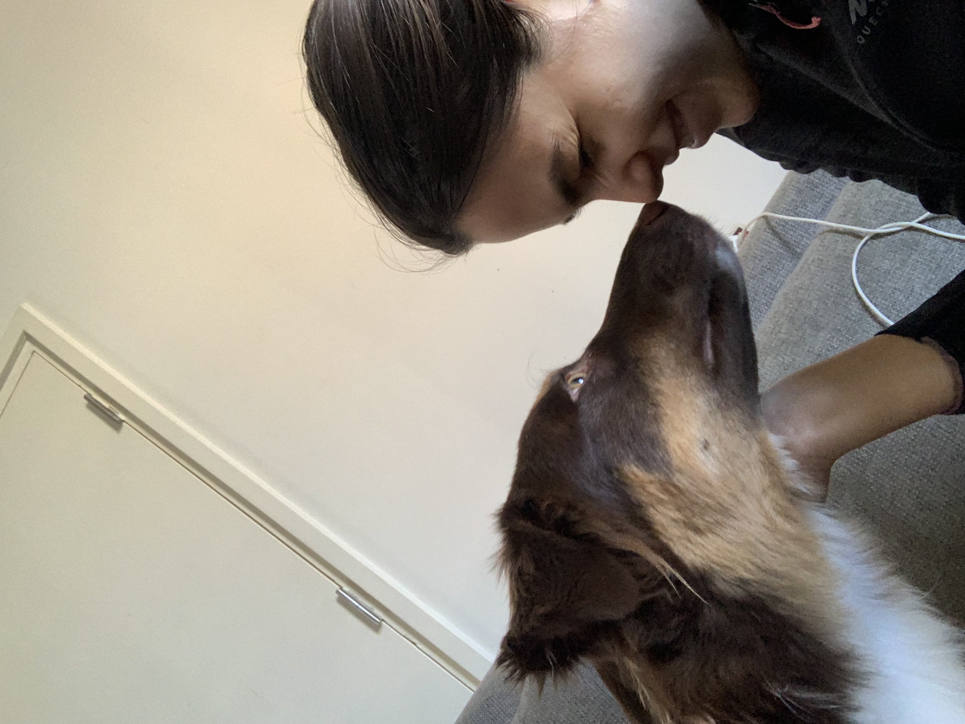 image-7
