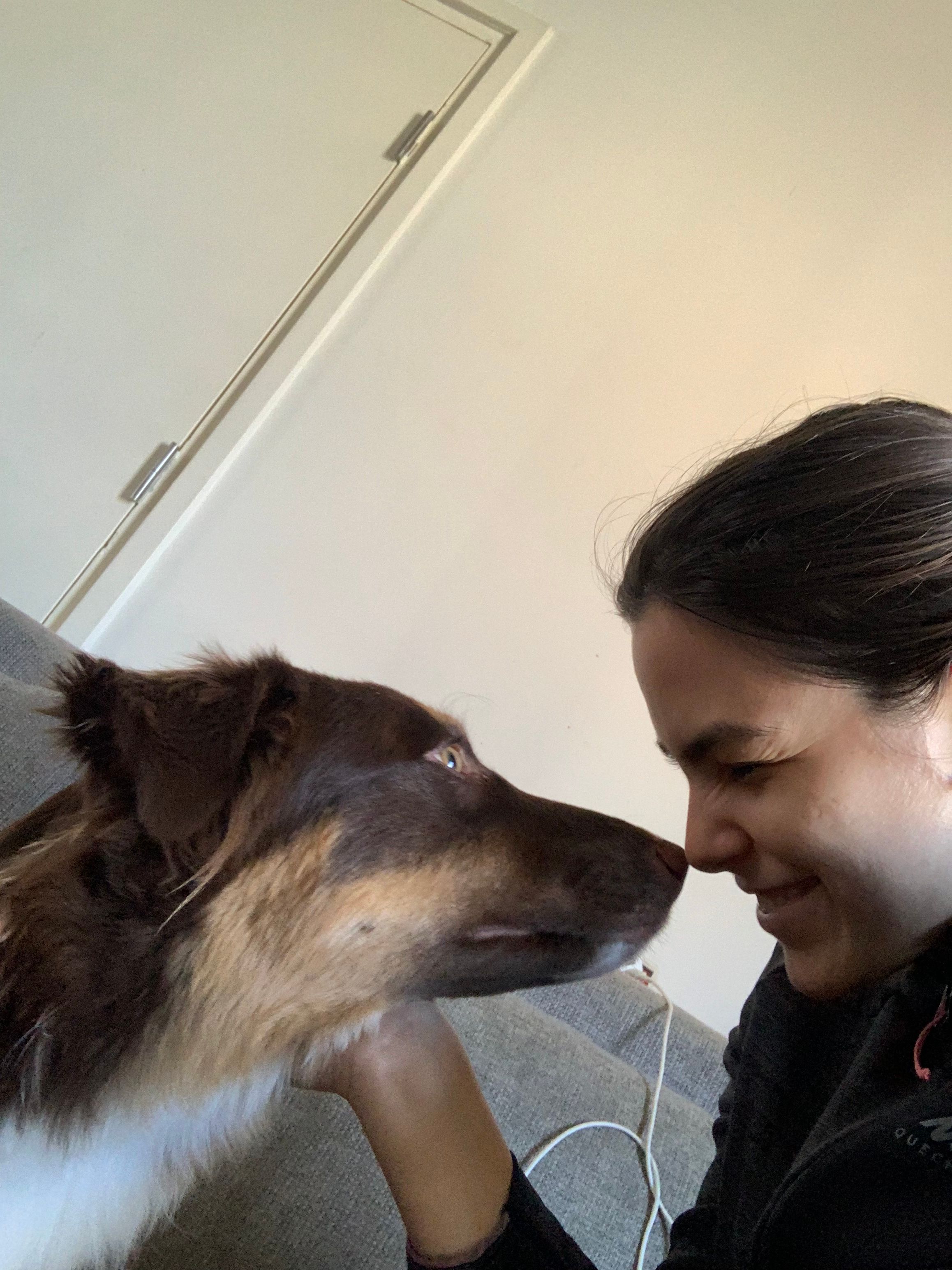 image-7