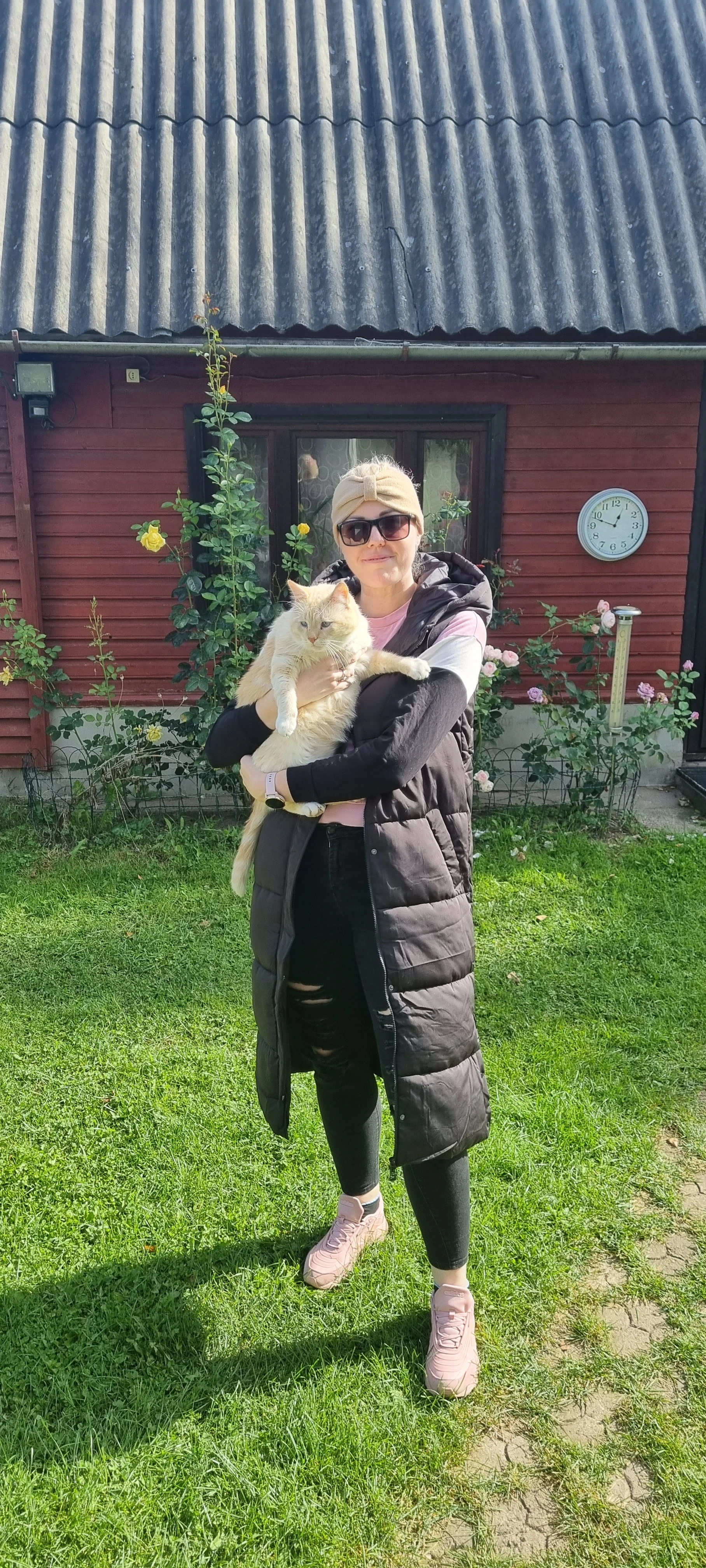 image-7