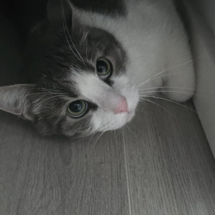 Luna