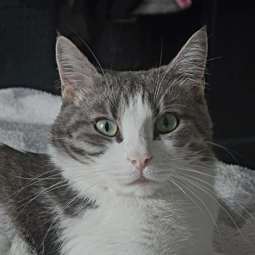 Luna
