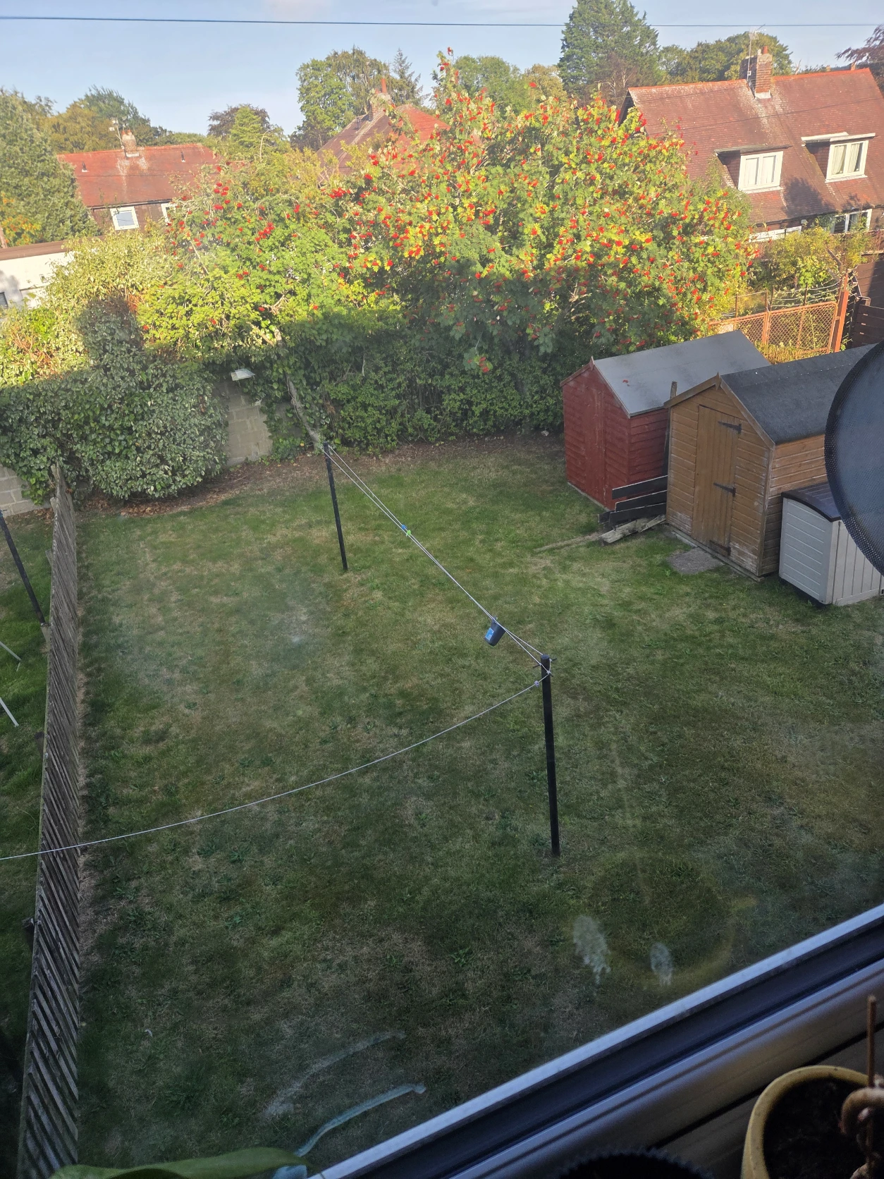 image-9