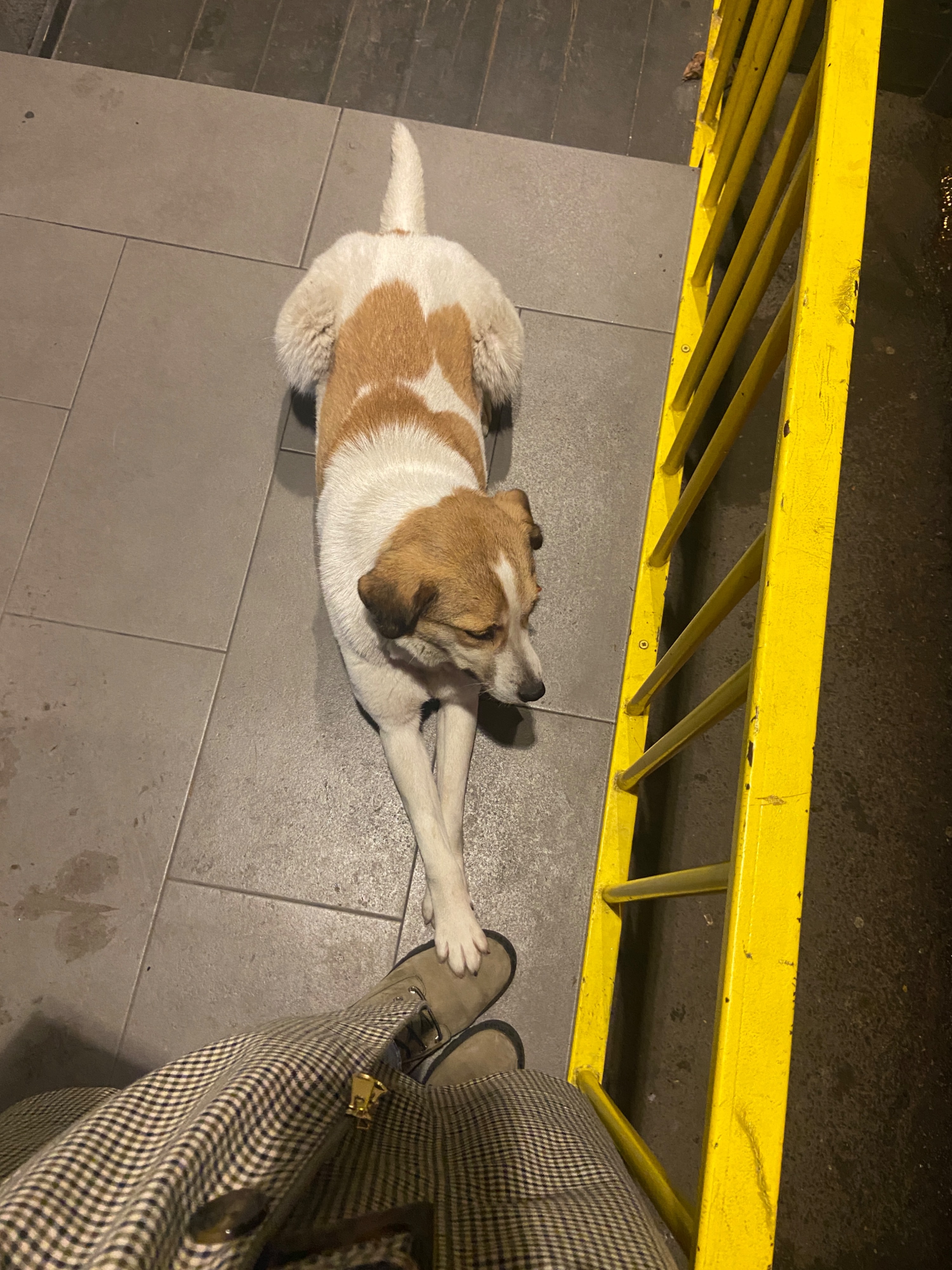 image-3