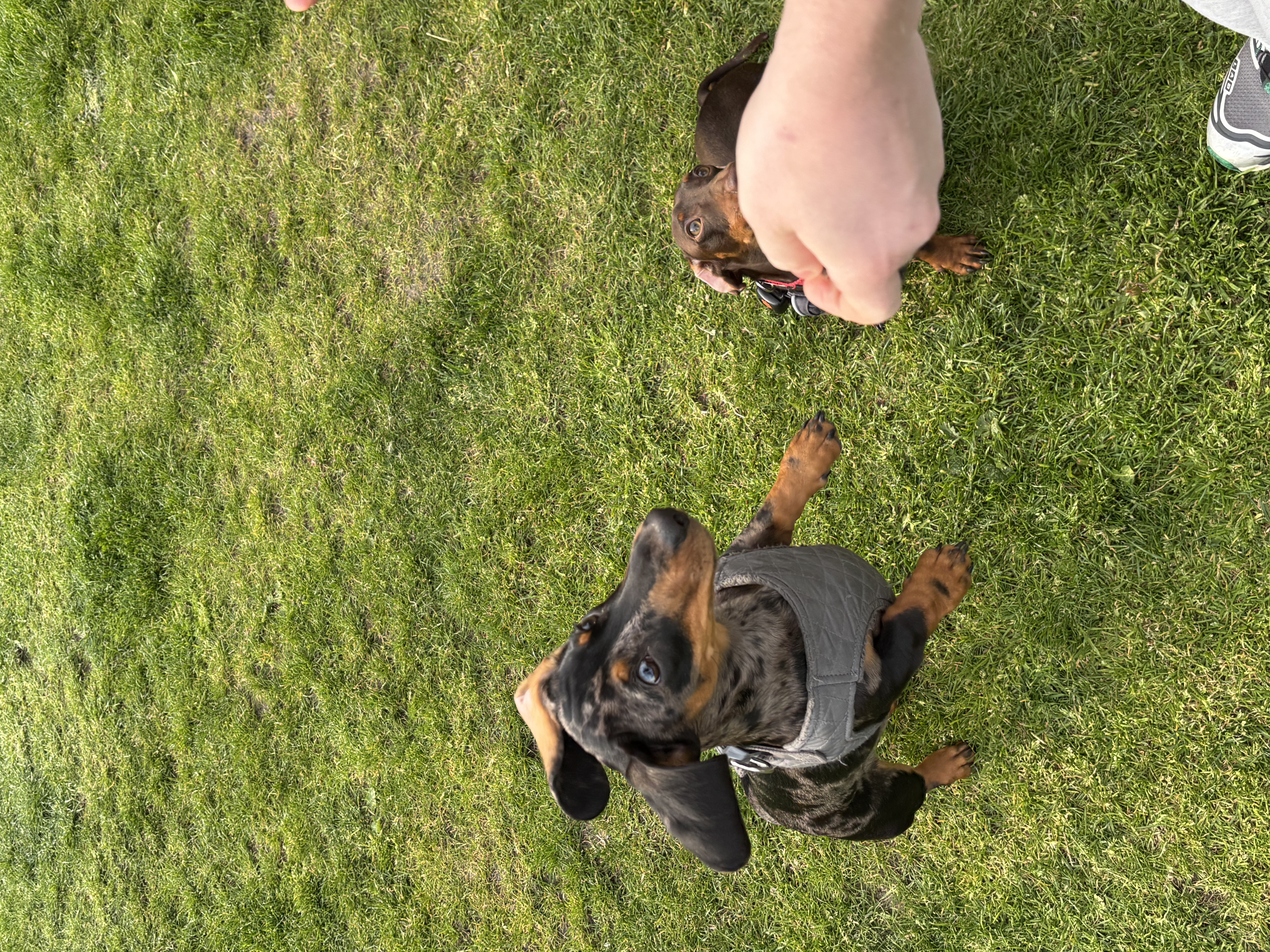 image-7