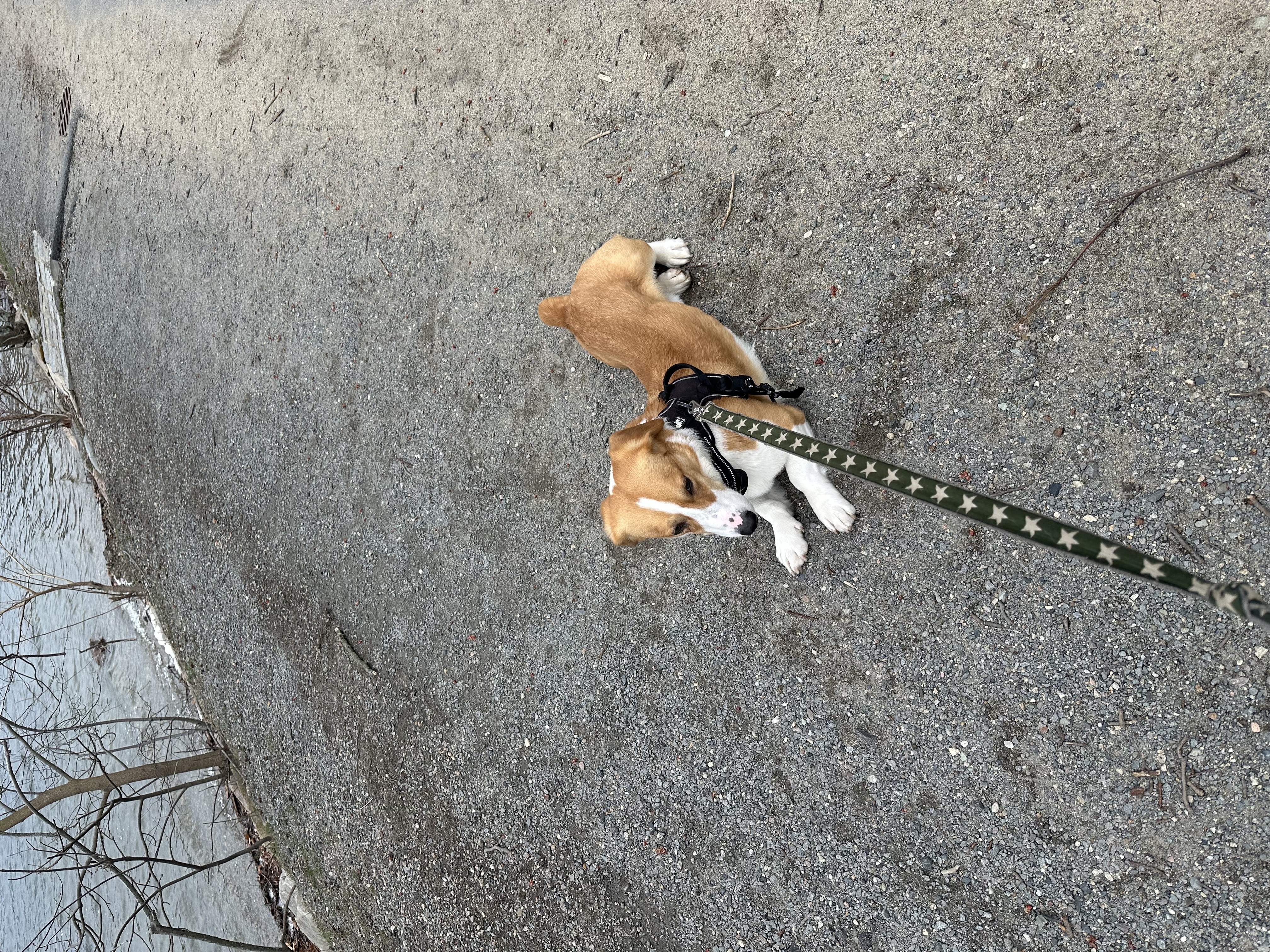 image-10