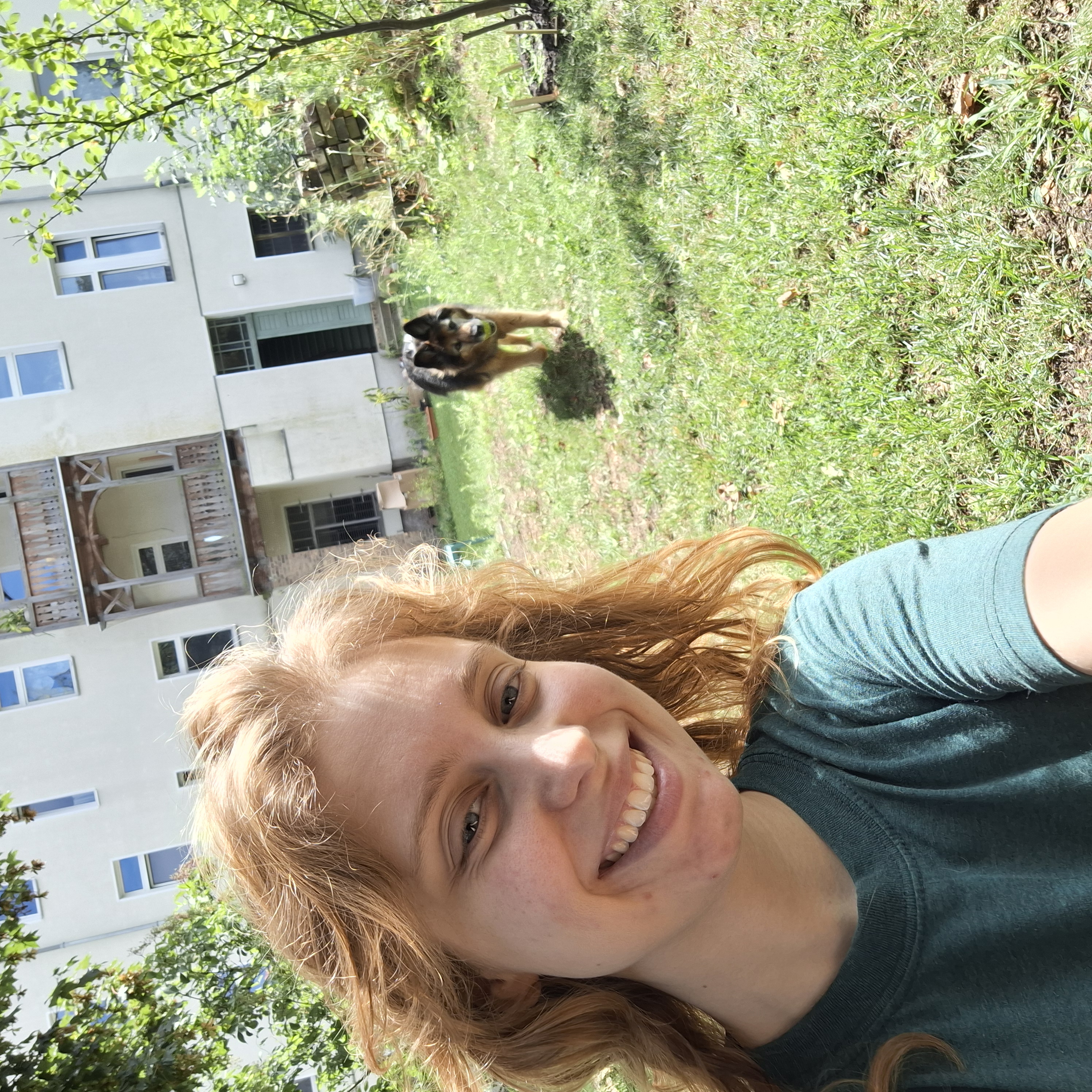 image-7