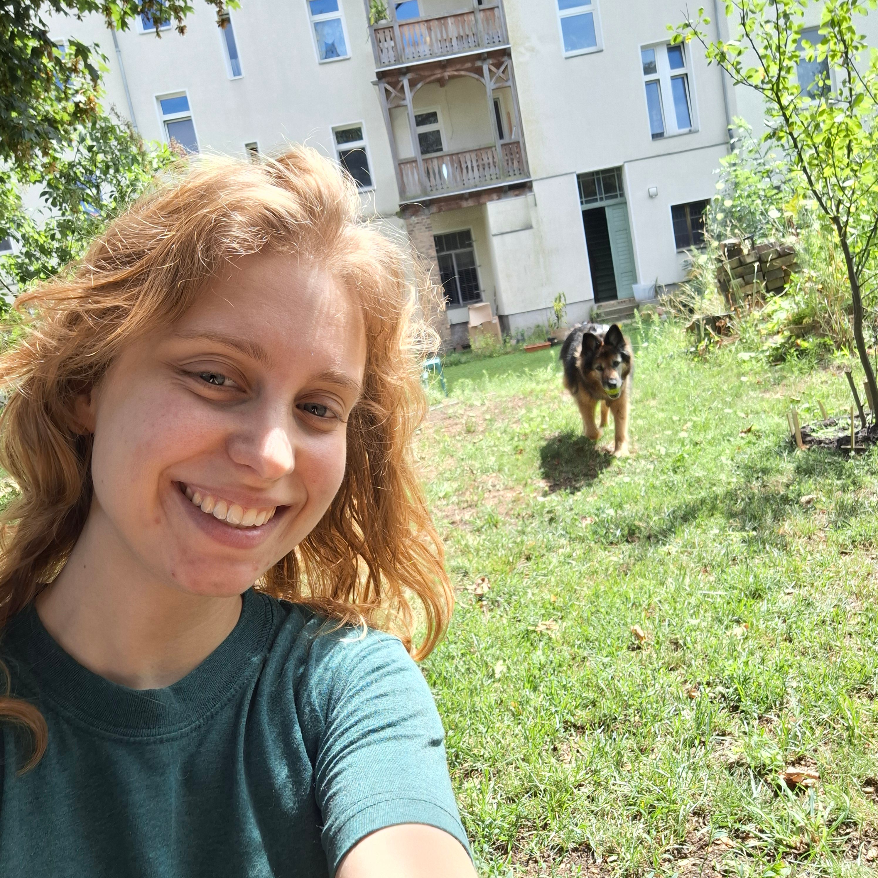 image-7