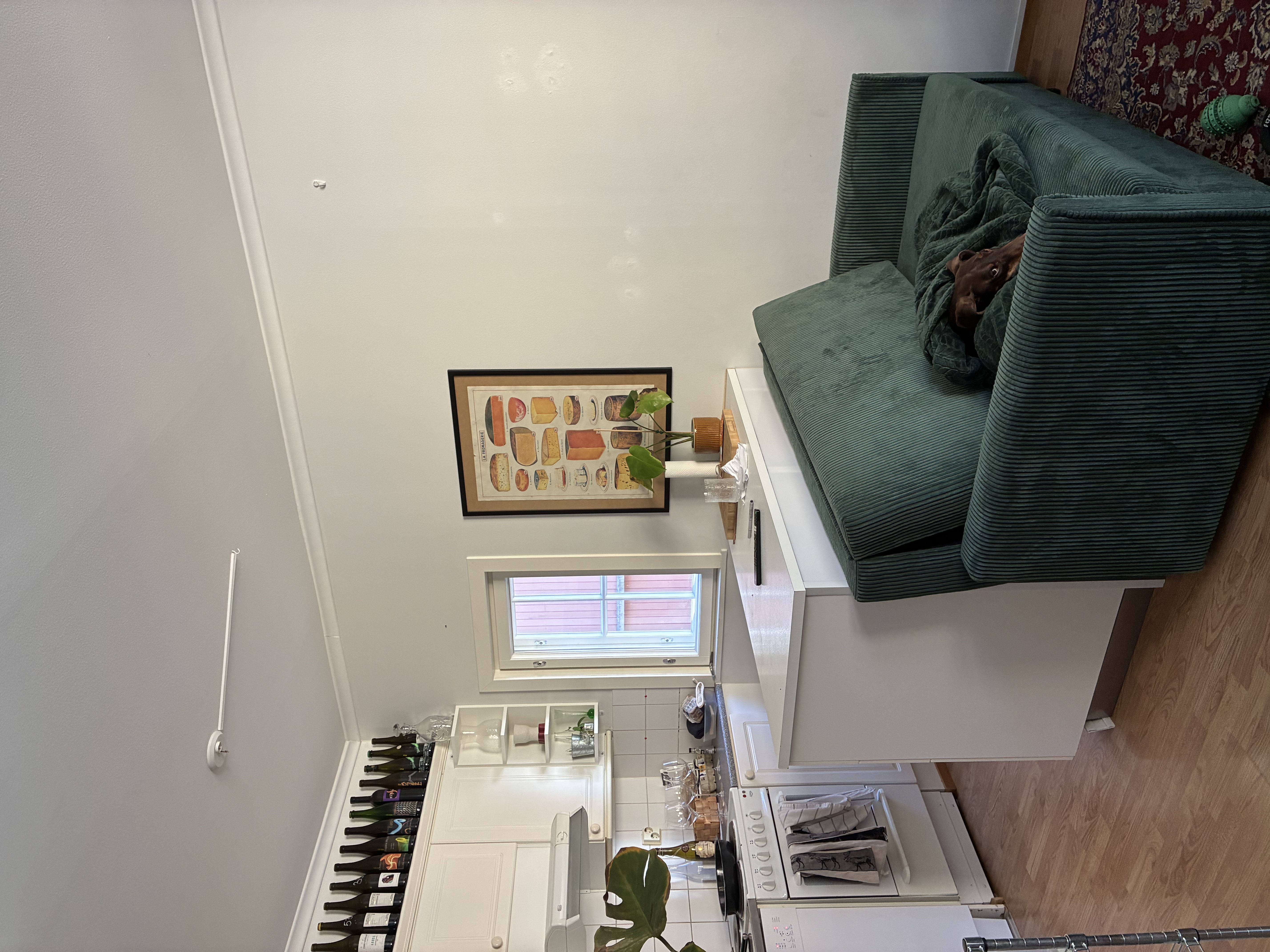 image-13