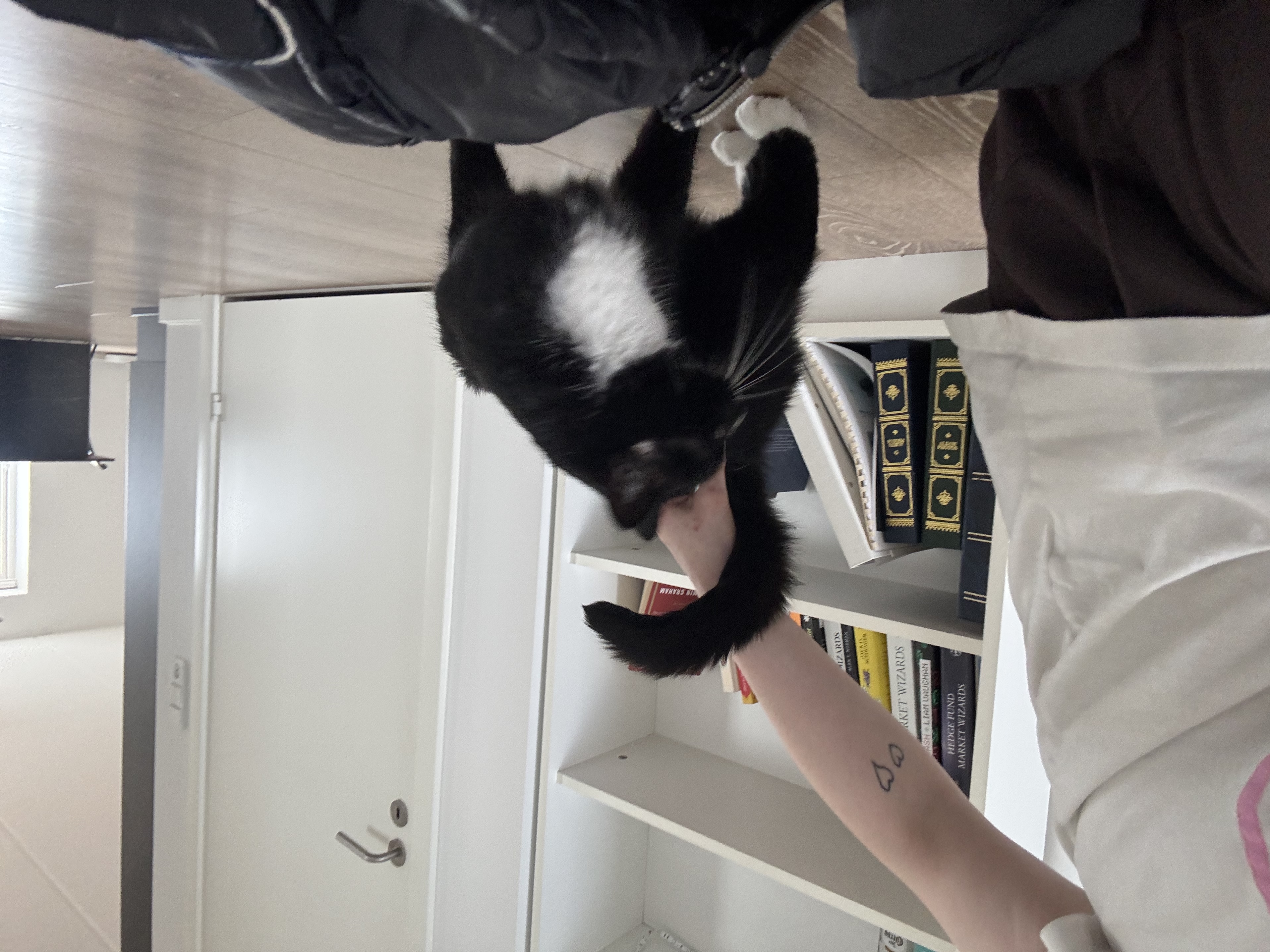 image-7