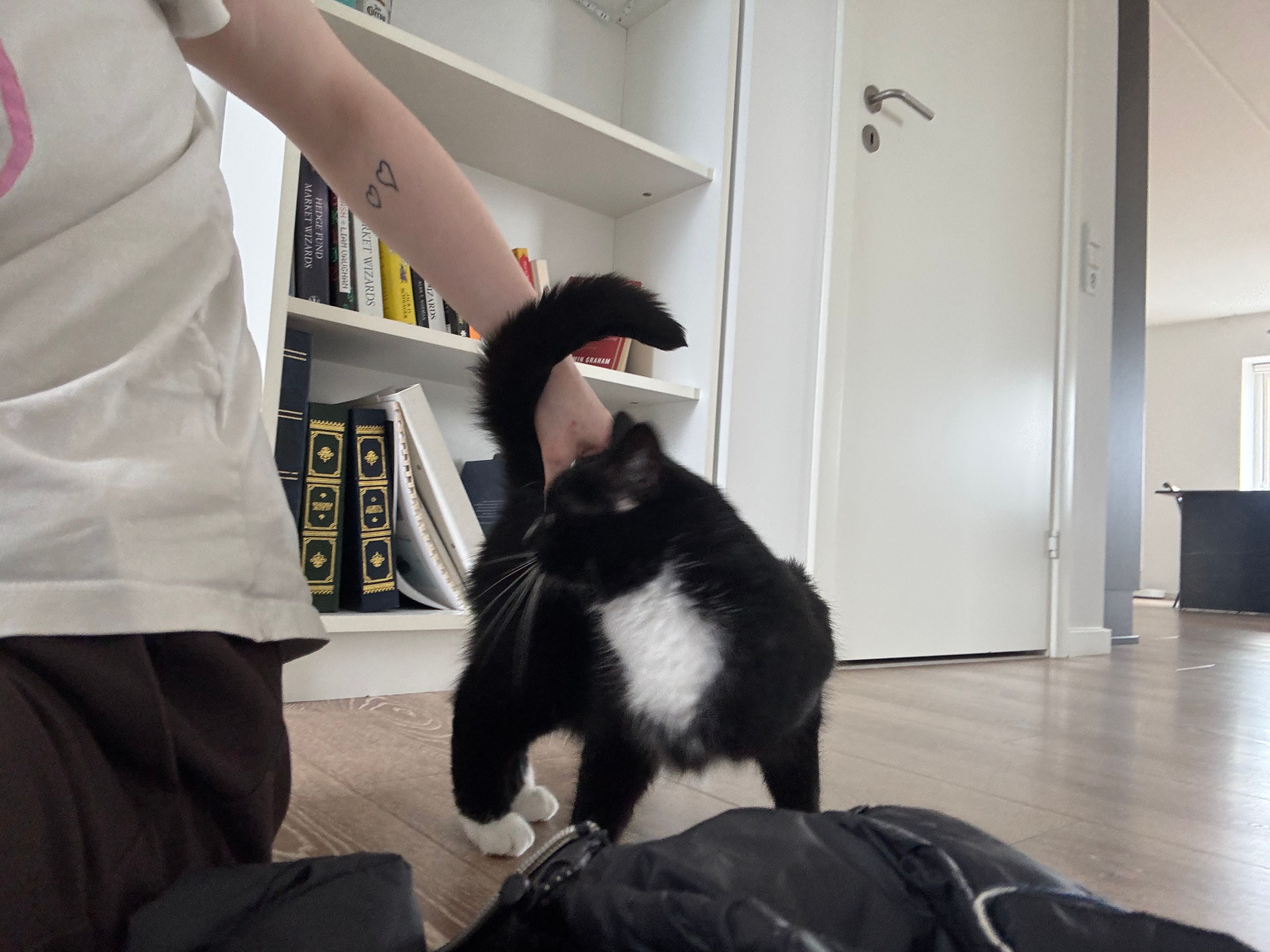 image-7