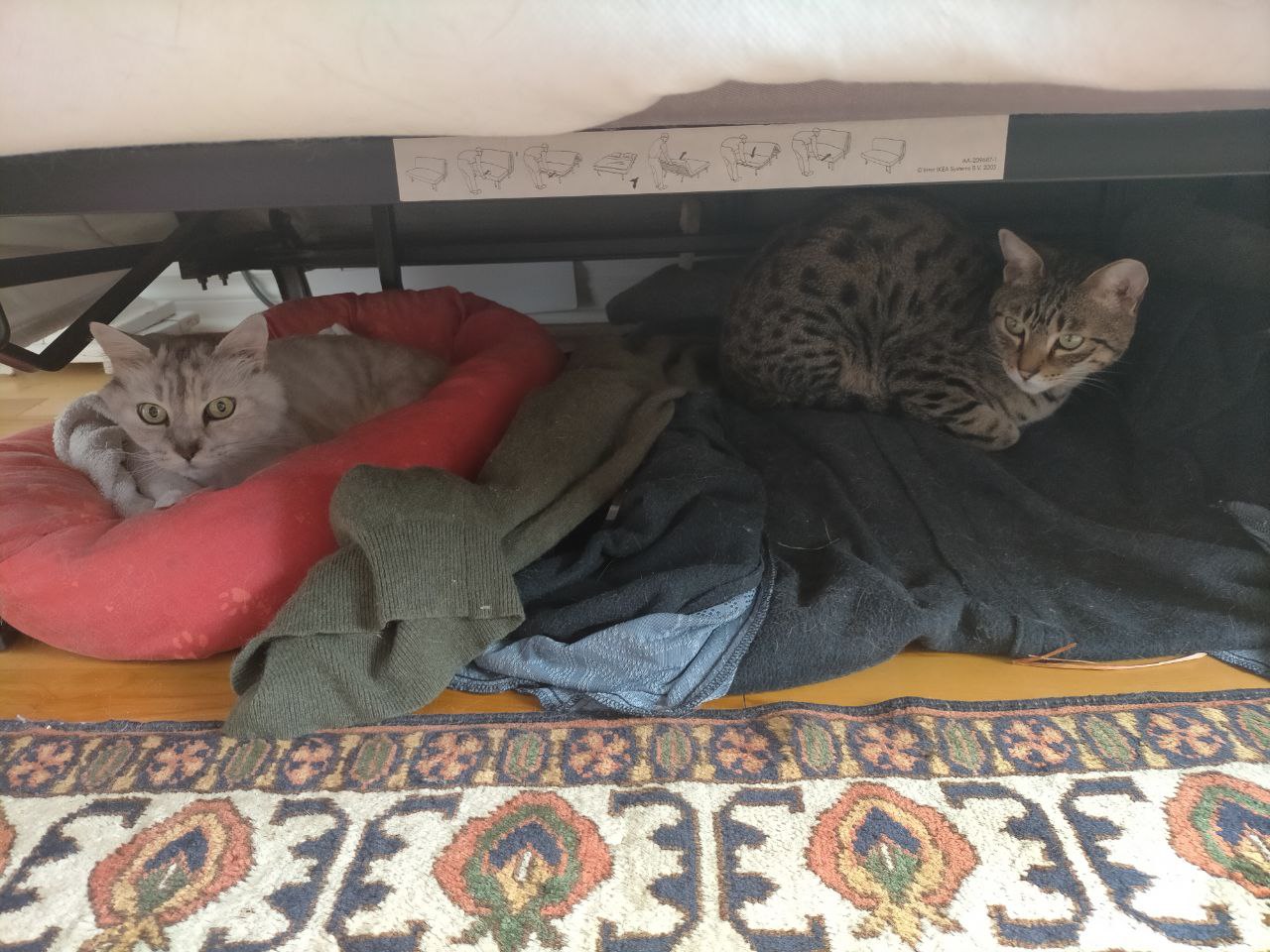 image-8
