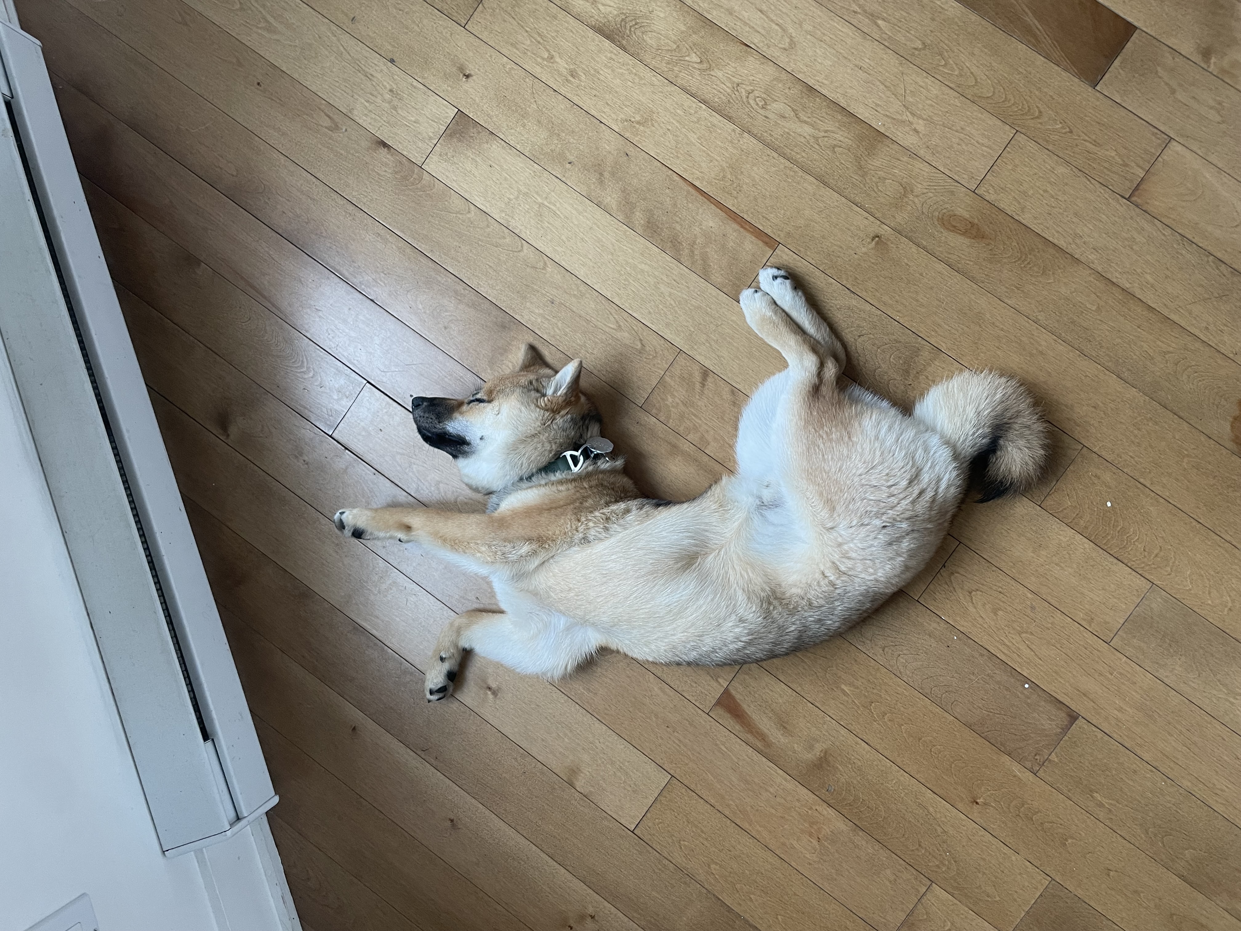 image-18