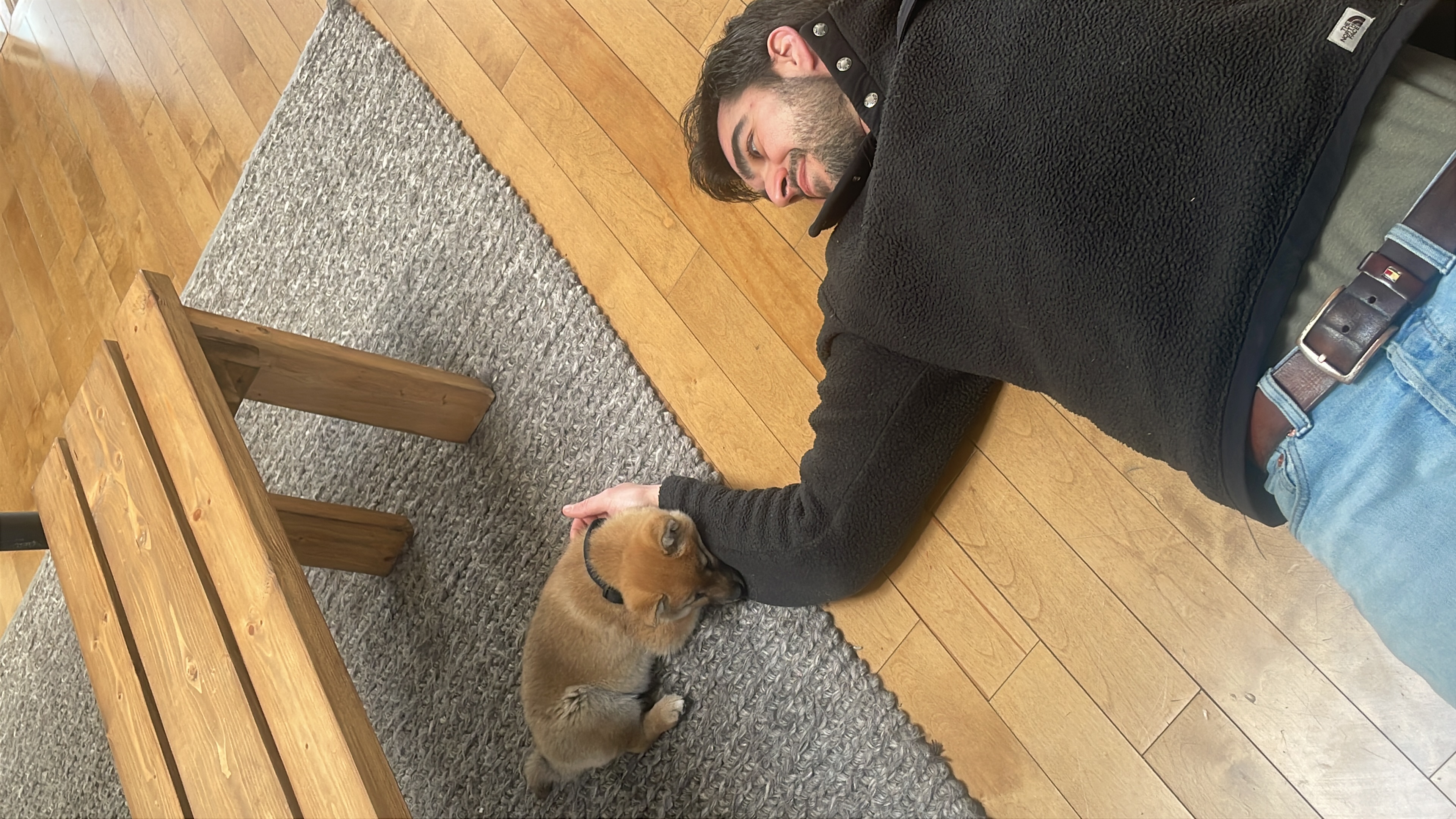 image-7
