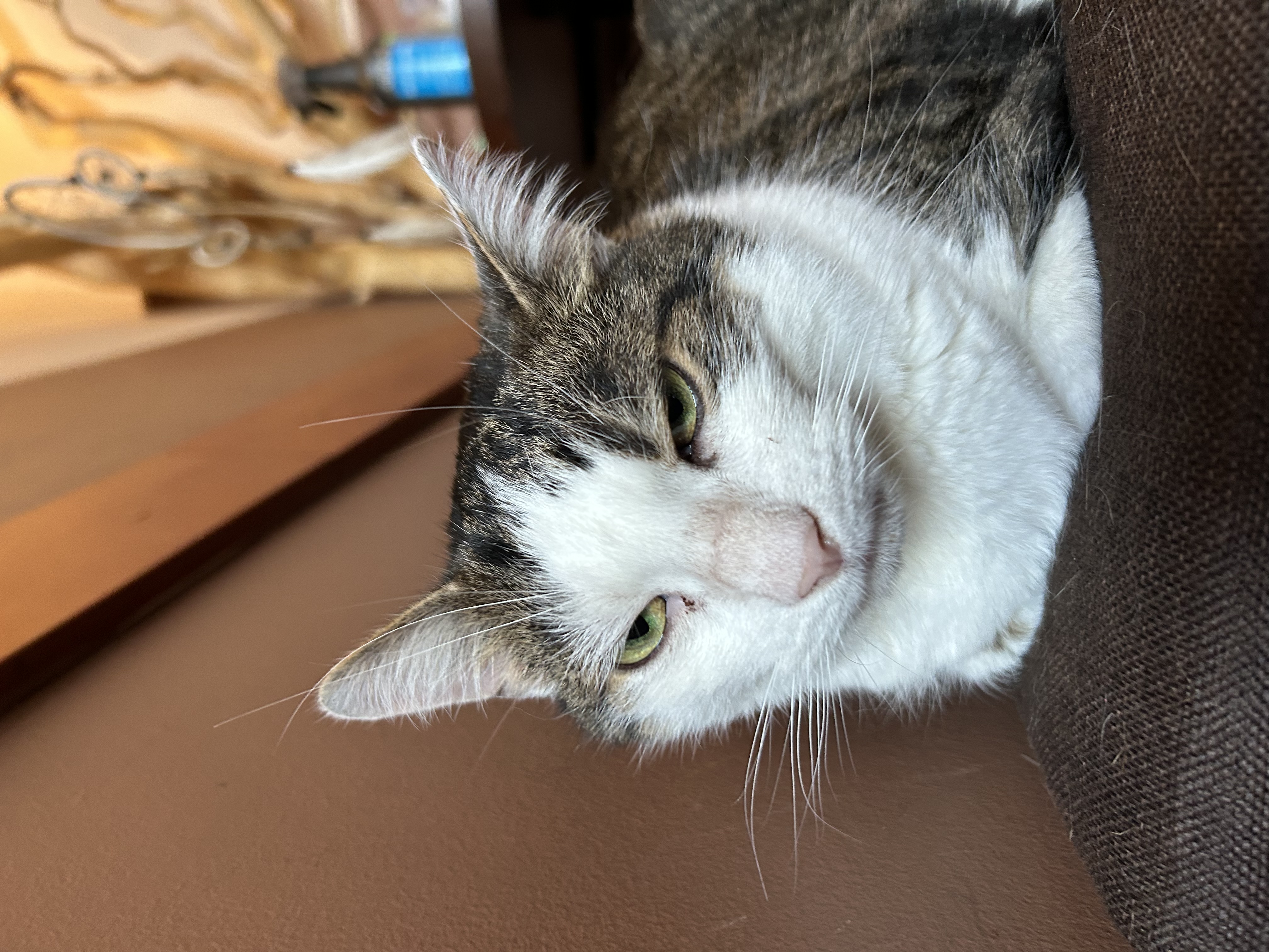 image-3