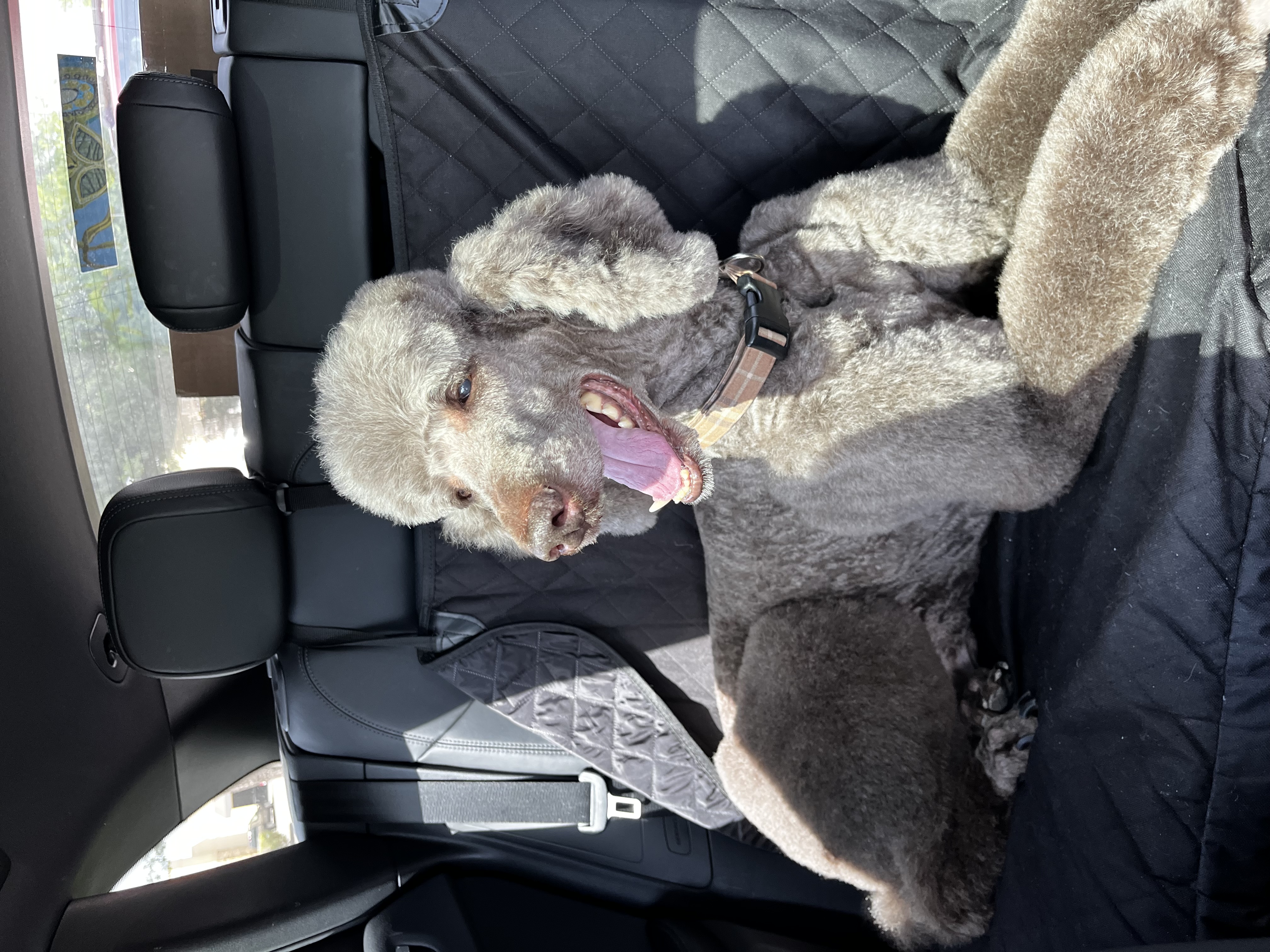 image-9