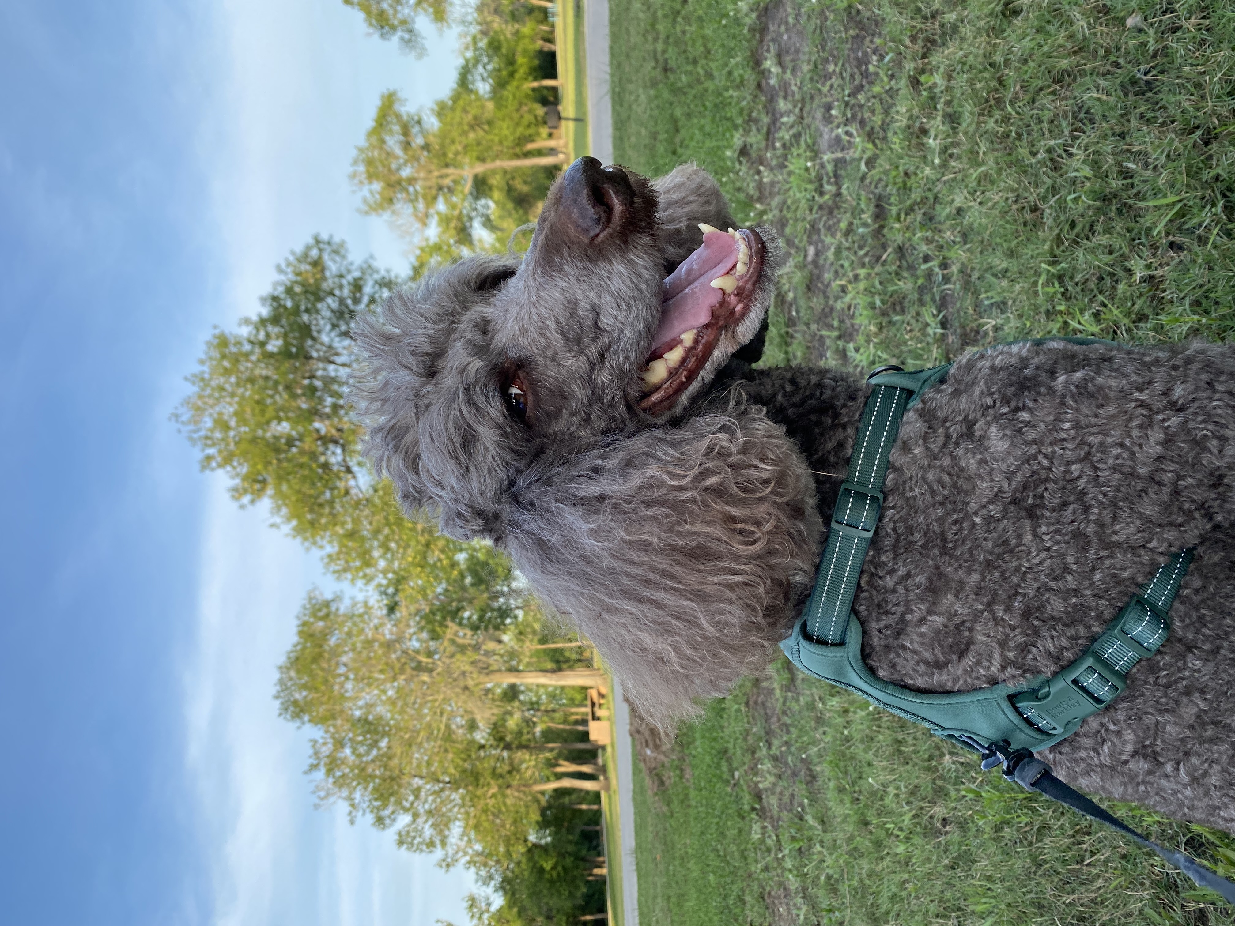 image-6