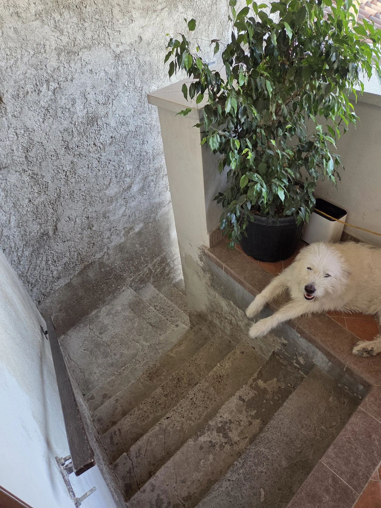 image-8