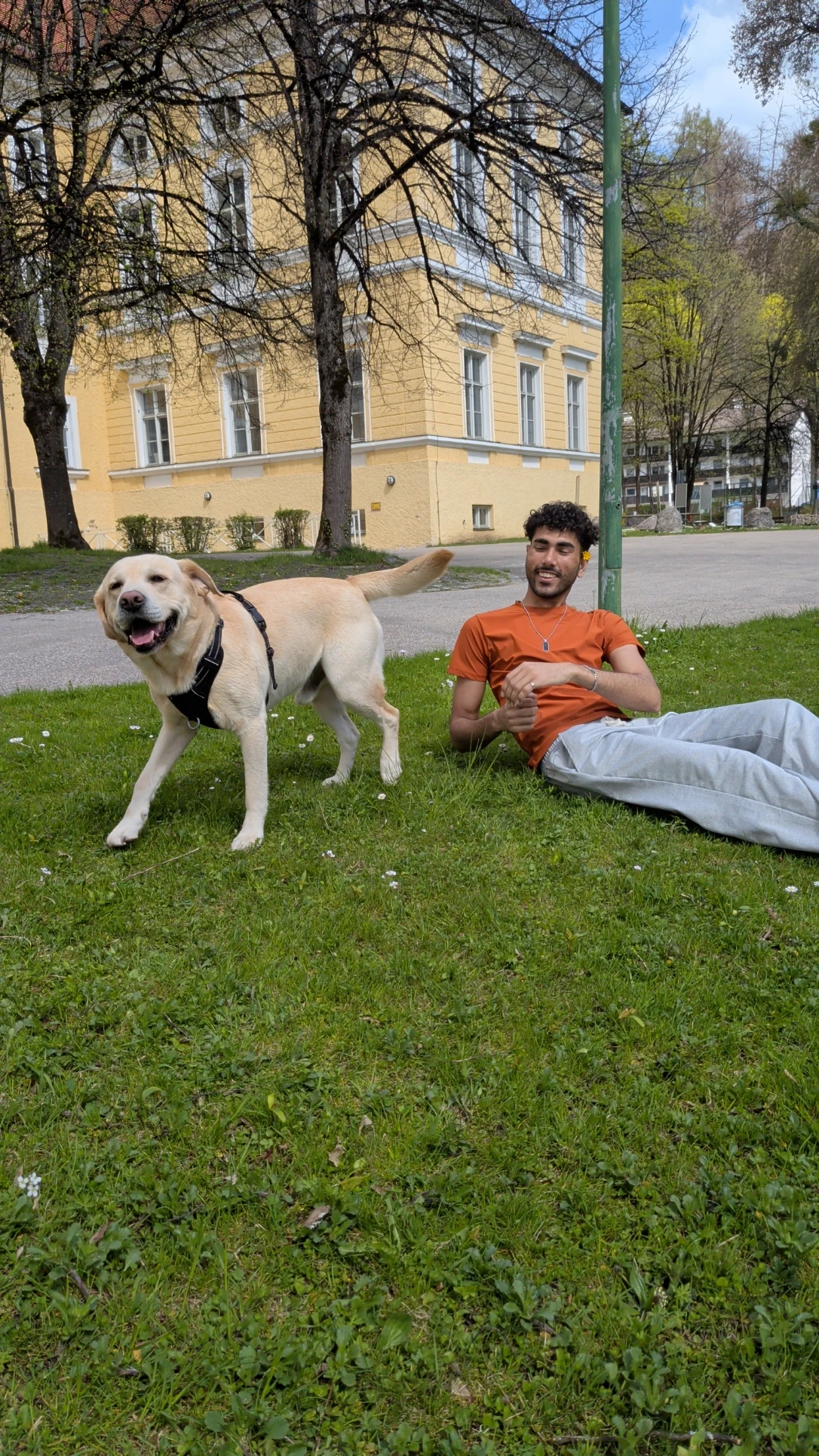 image-2