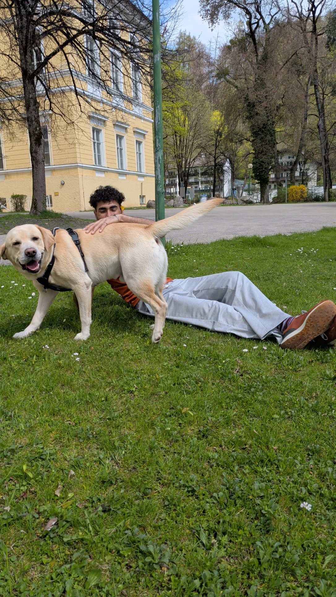 image-16