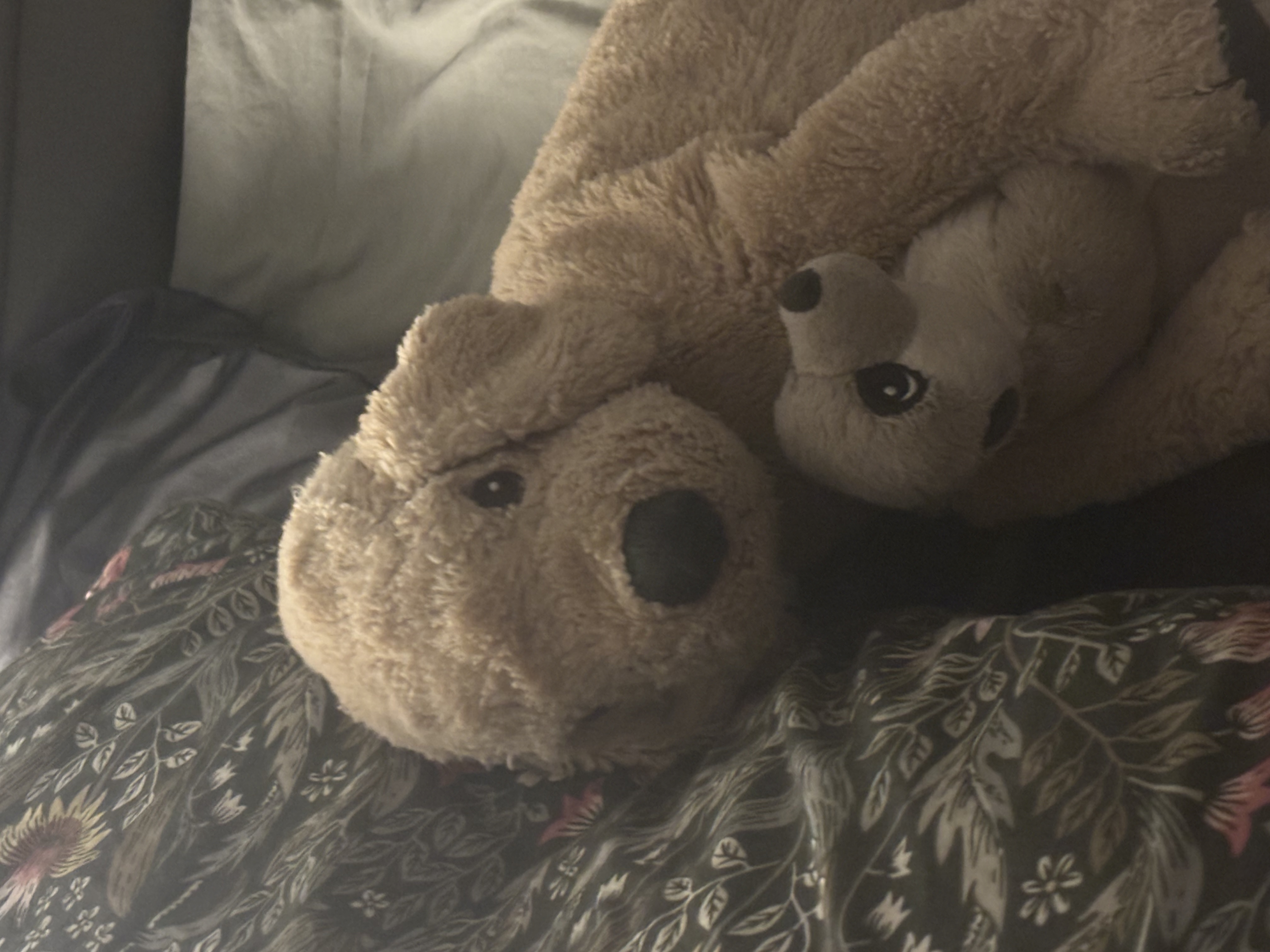 image-7