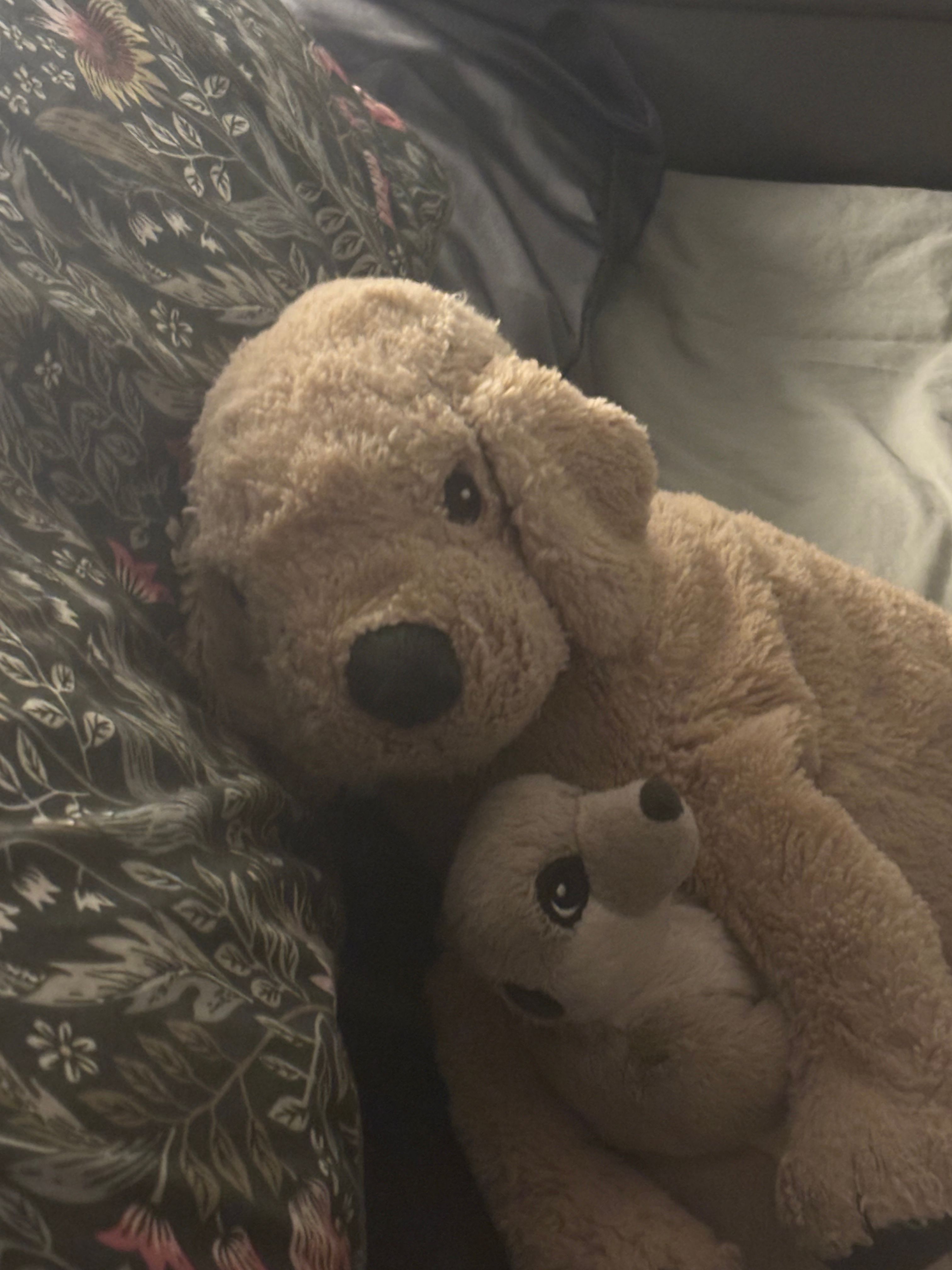 image-7
