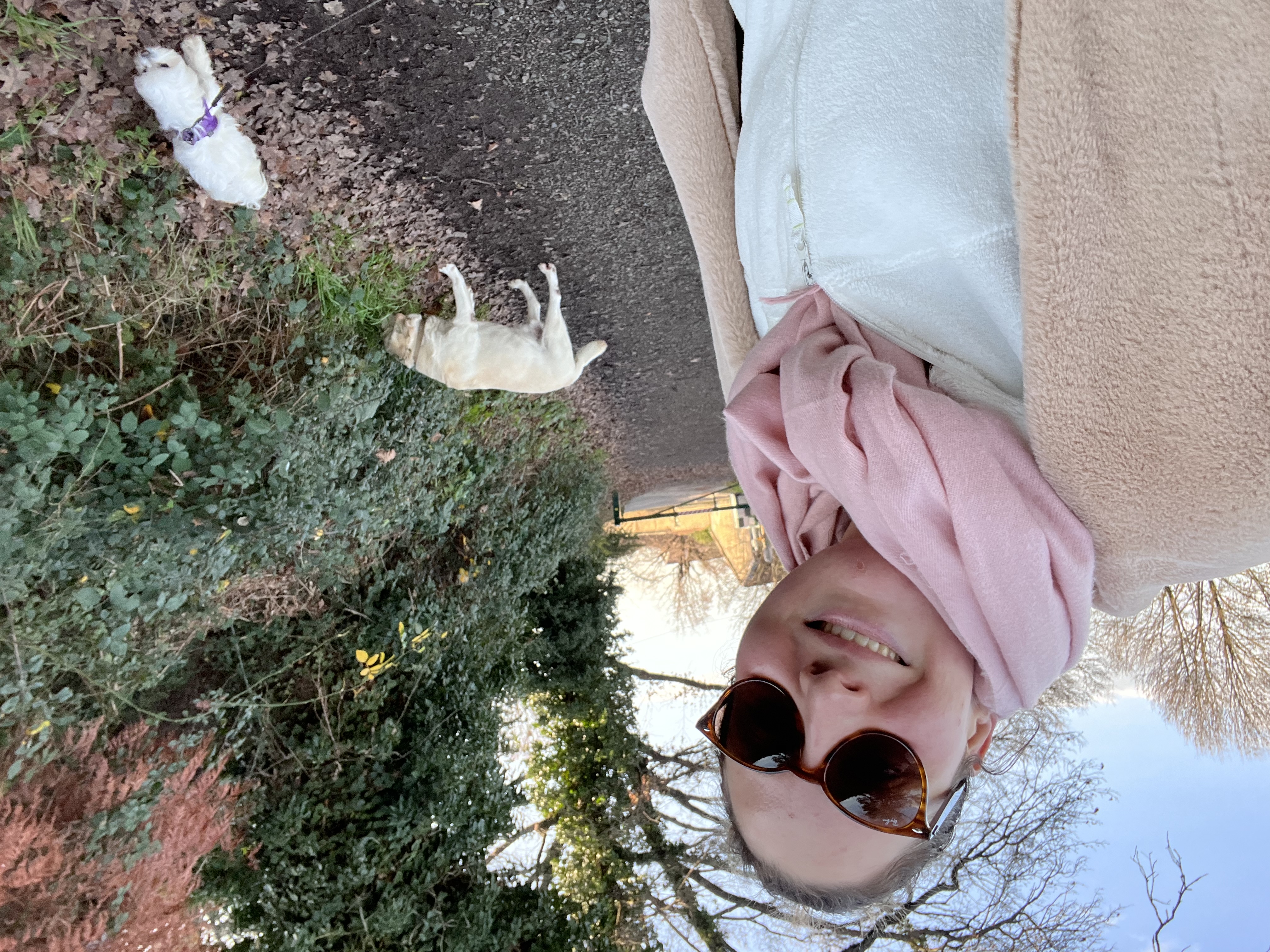 image-3