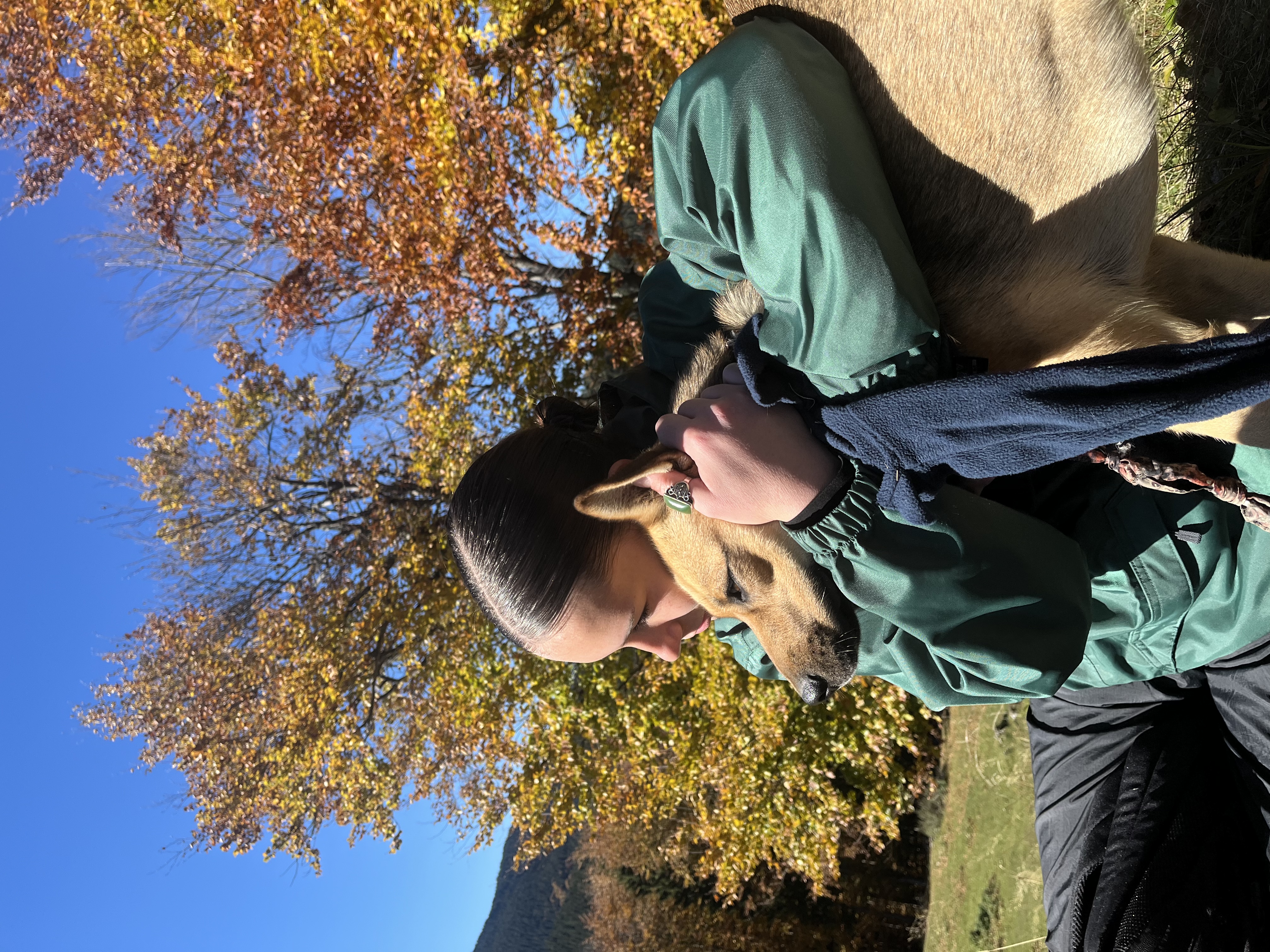 image-2