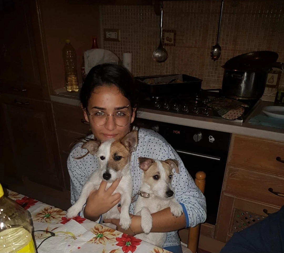 image-10