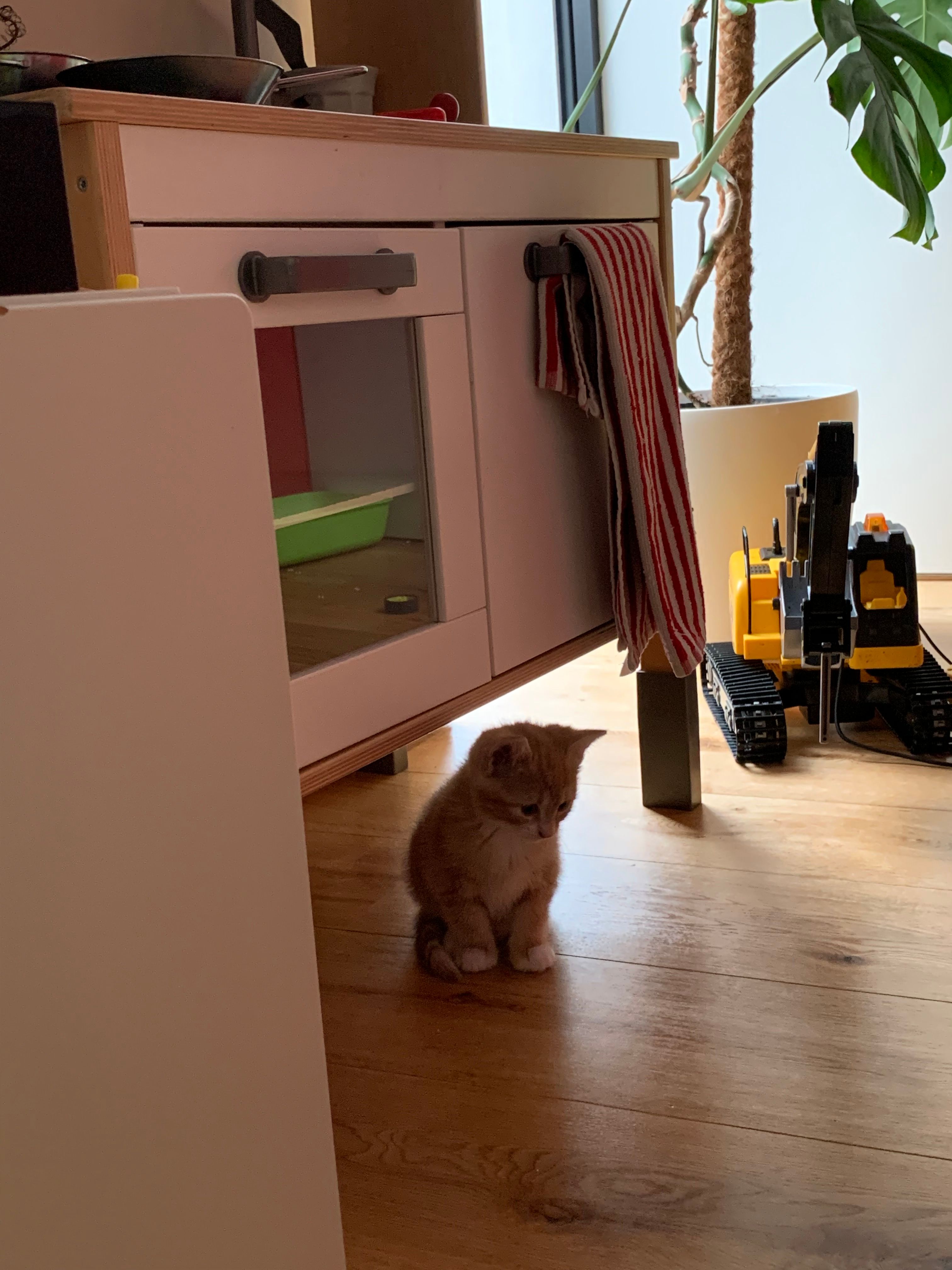 image-17