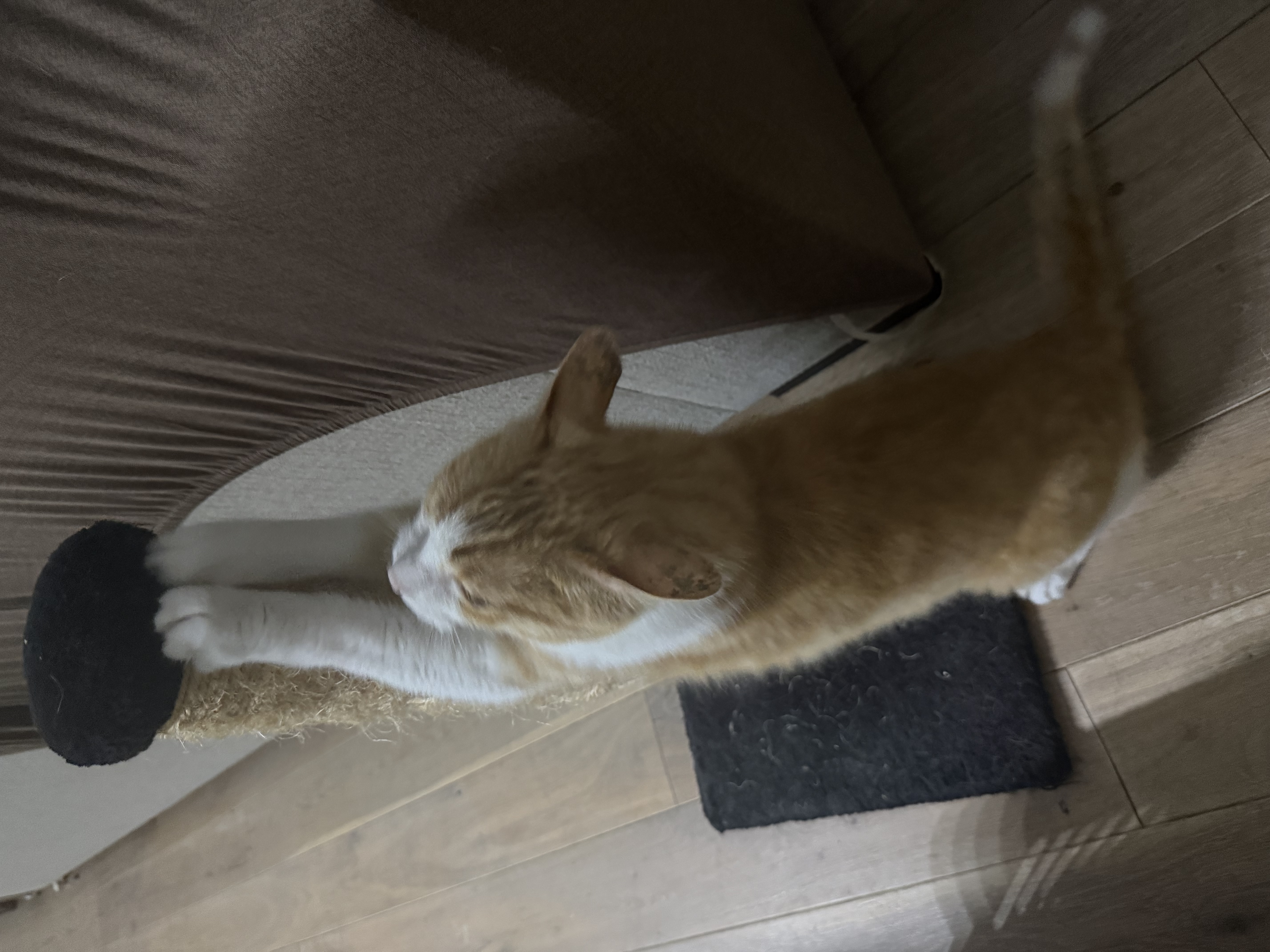 image-12