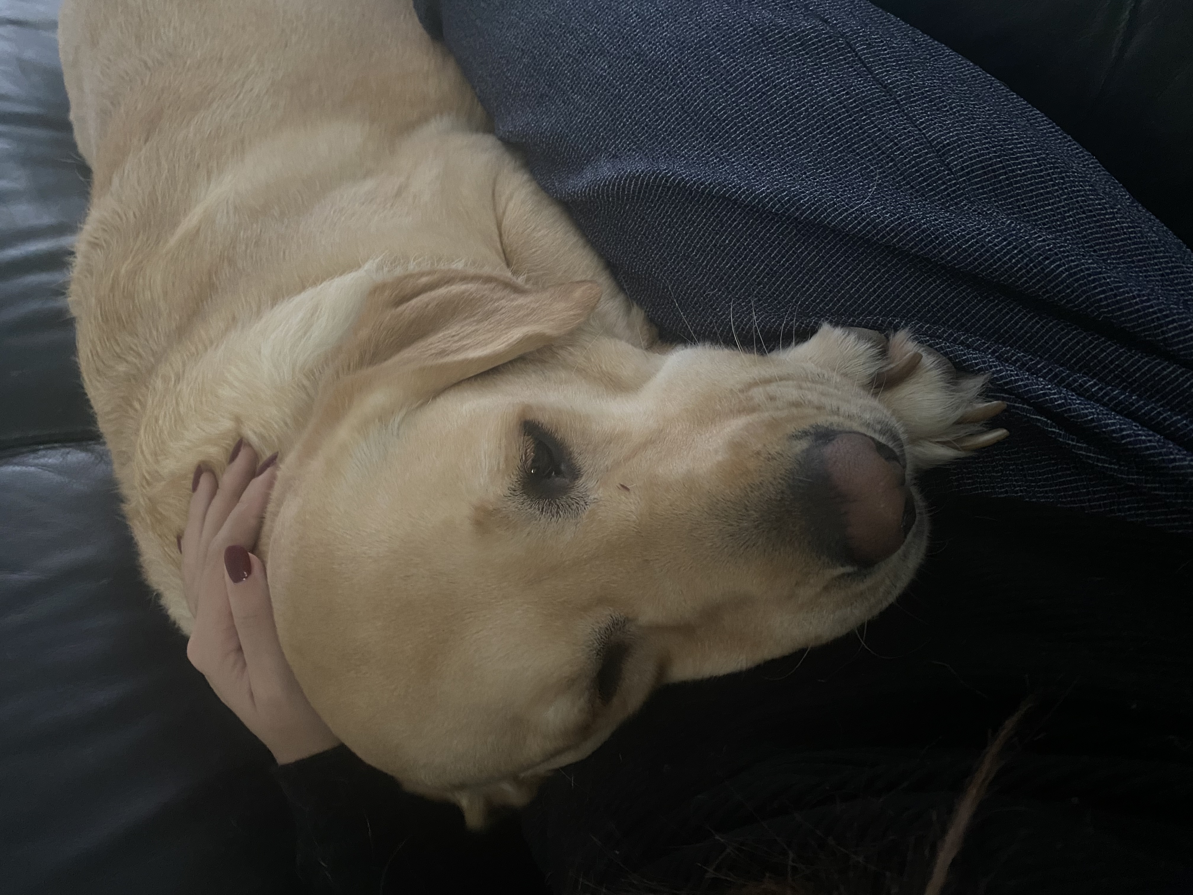 image-11