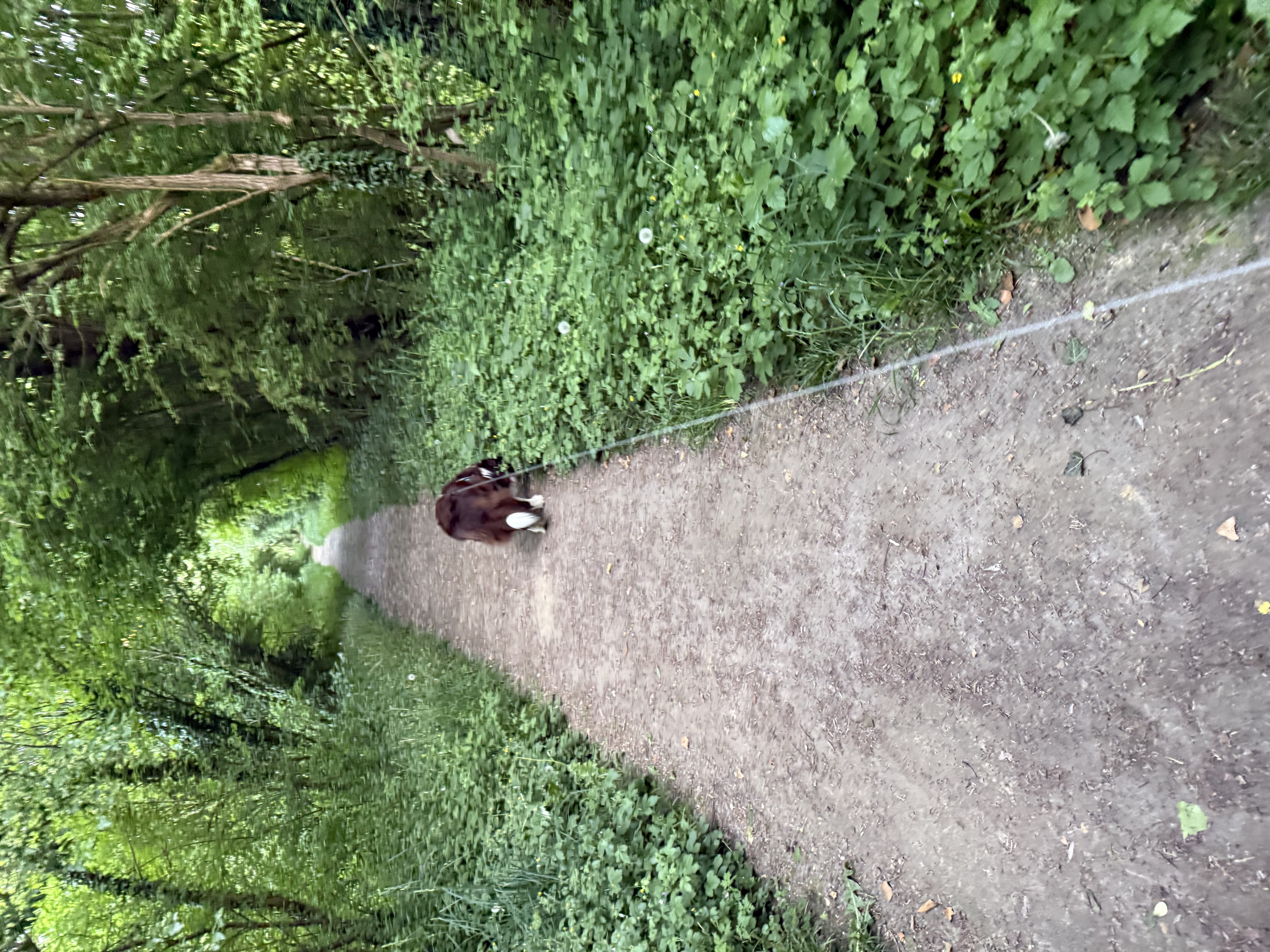 image-9