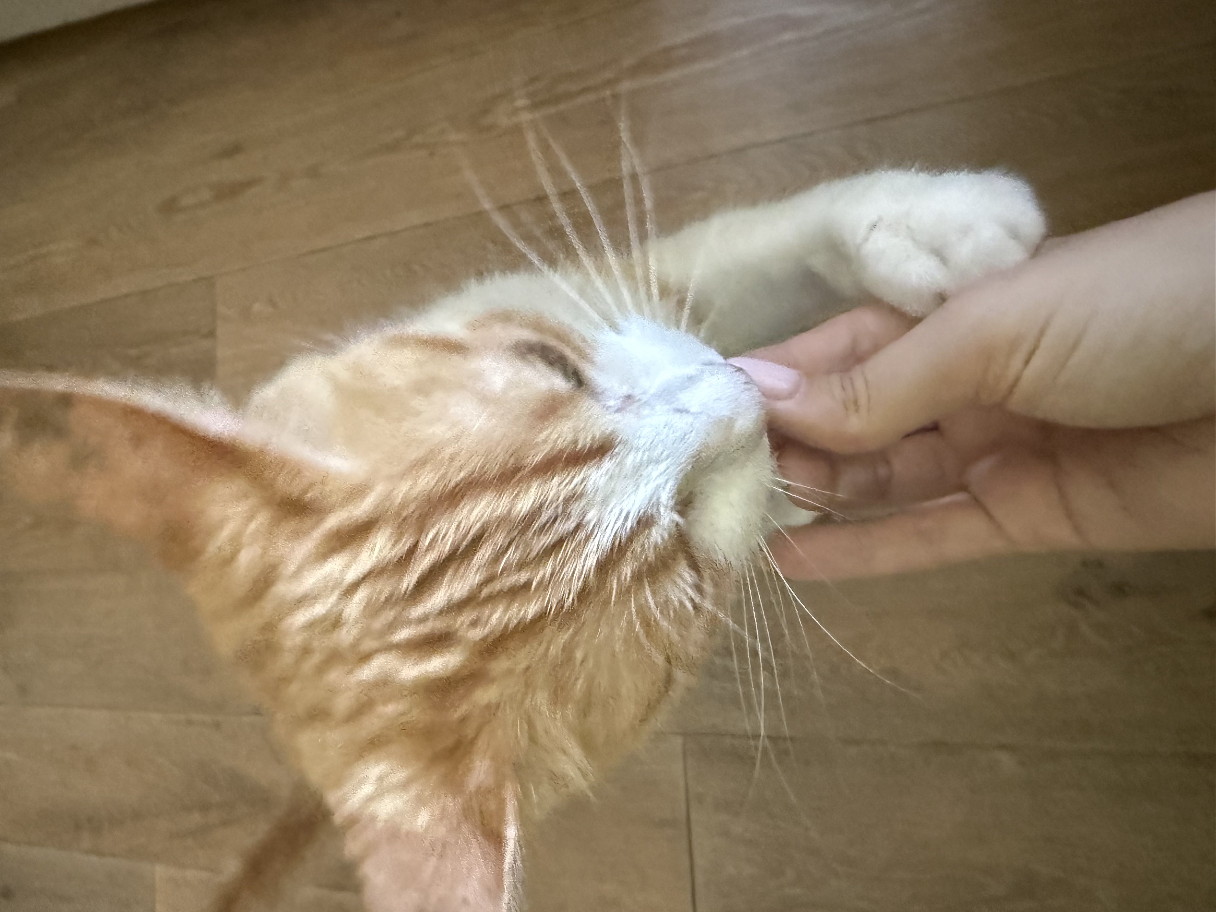 image-5
