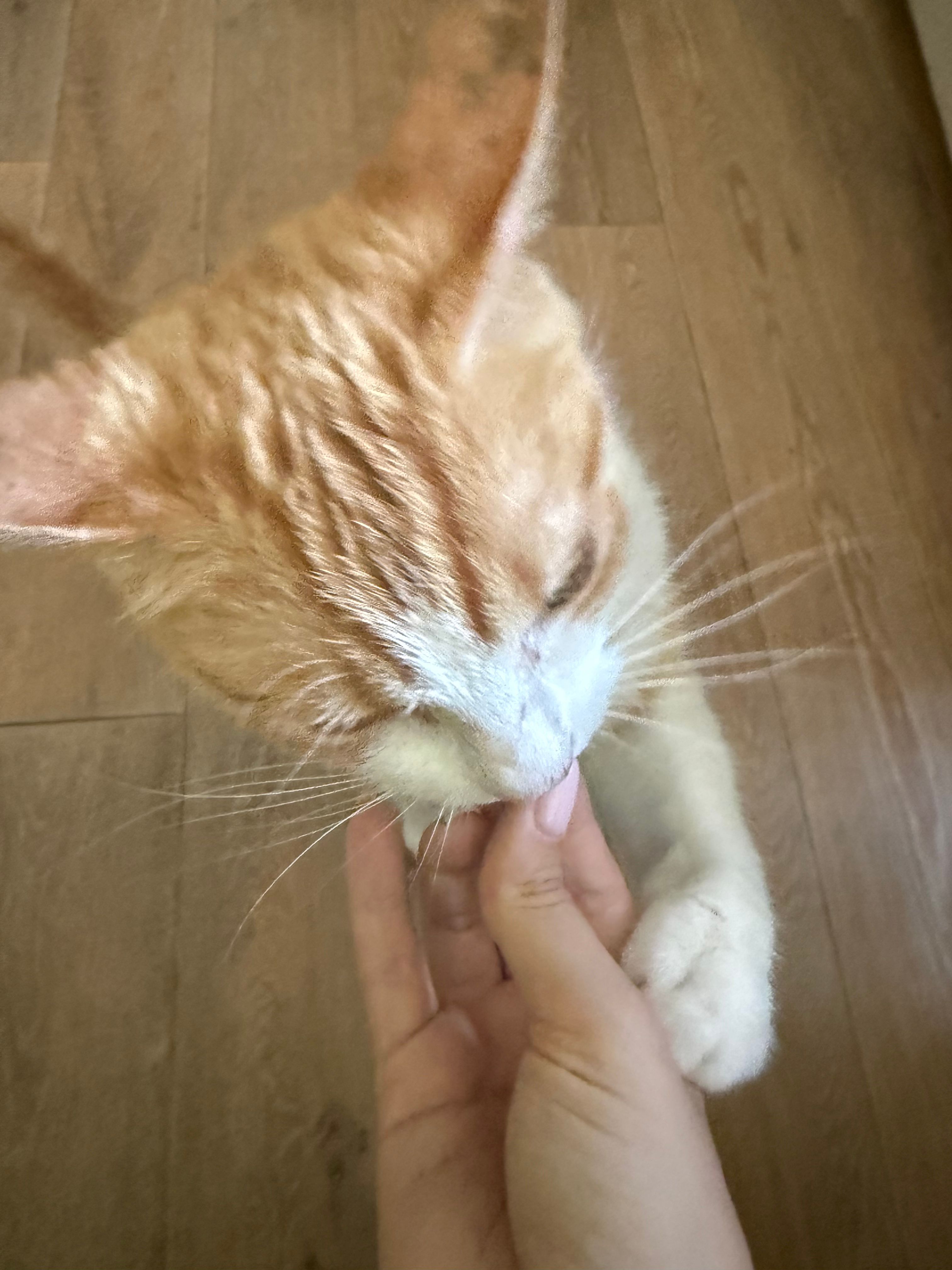 image-5