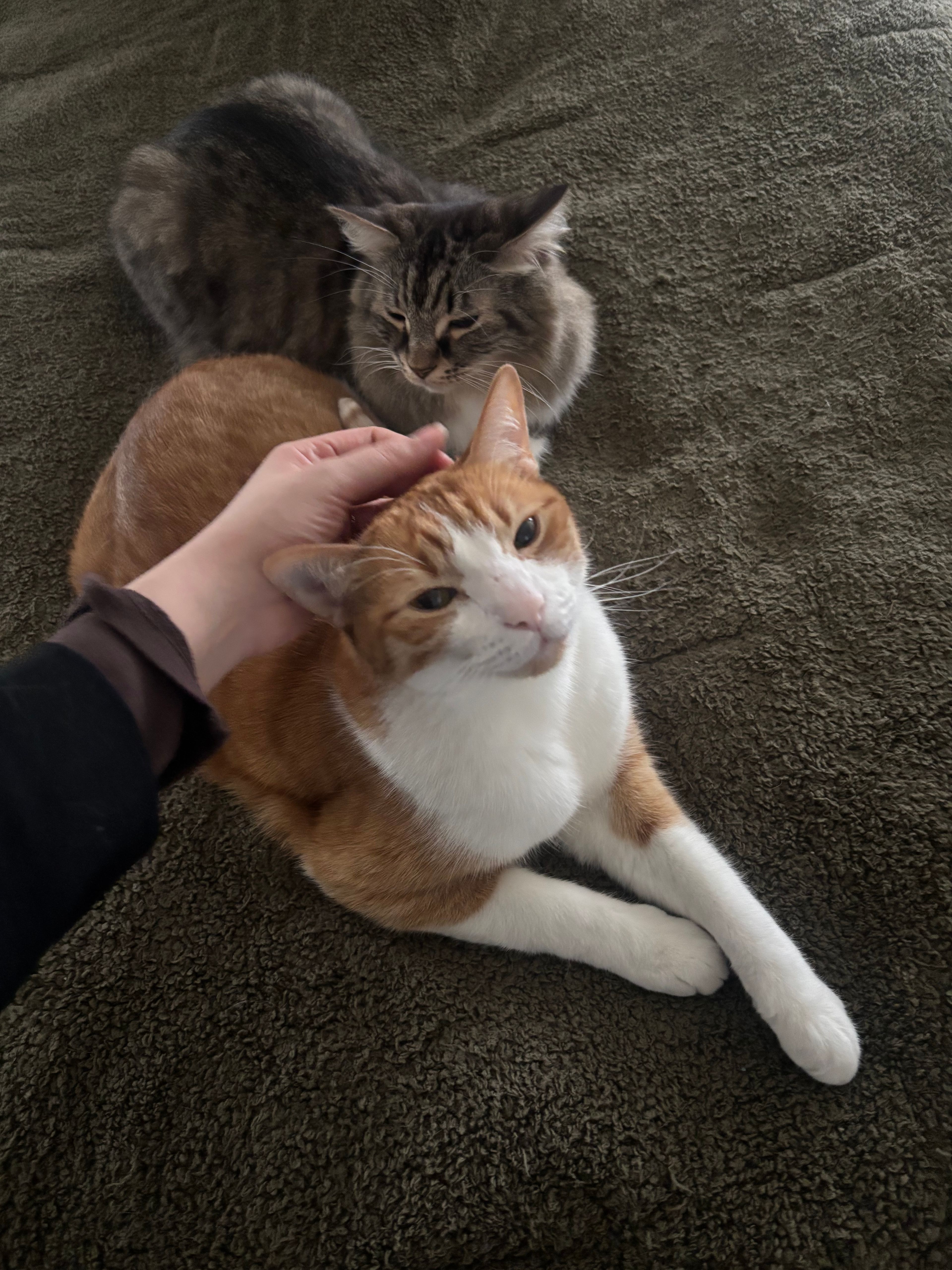 image-6