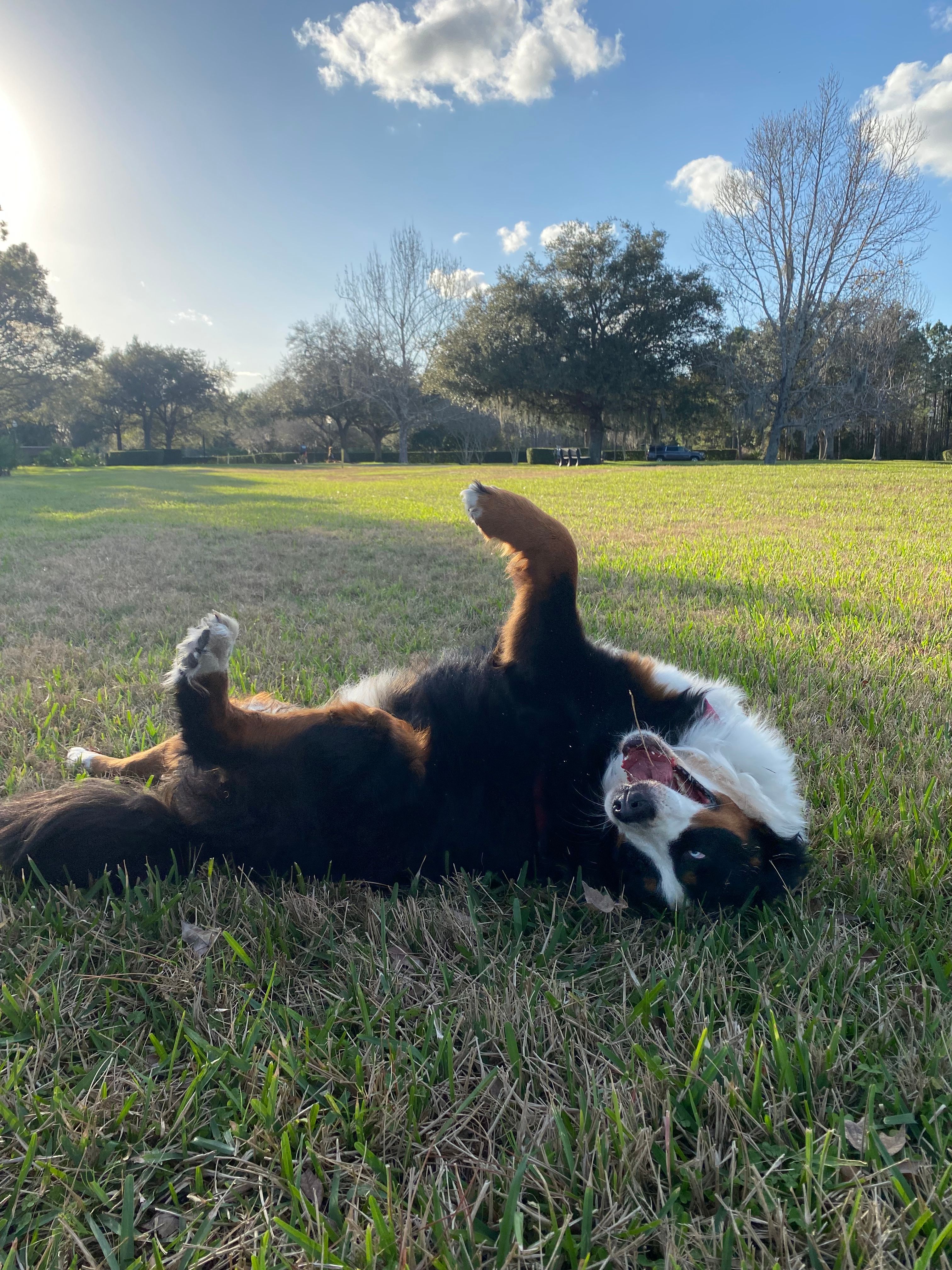 image-14