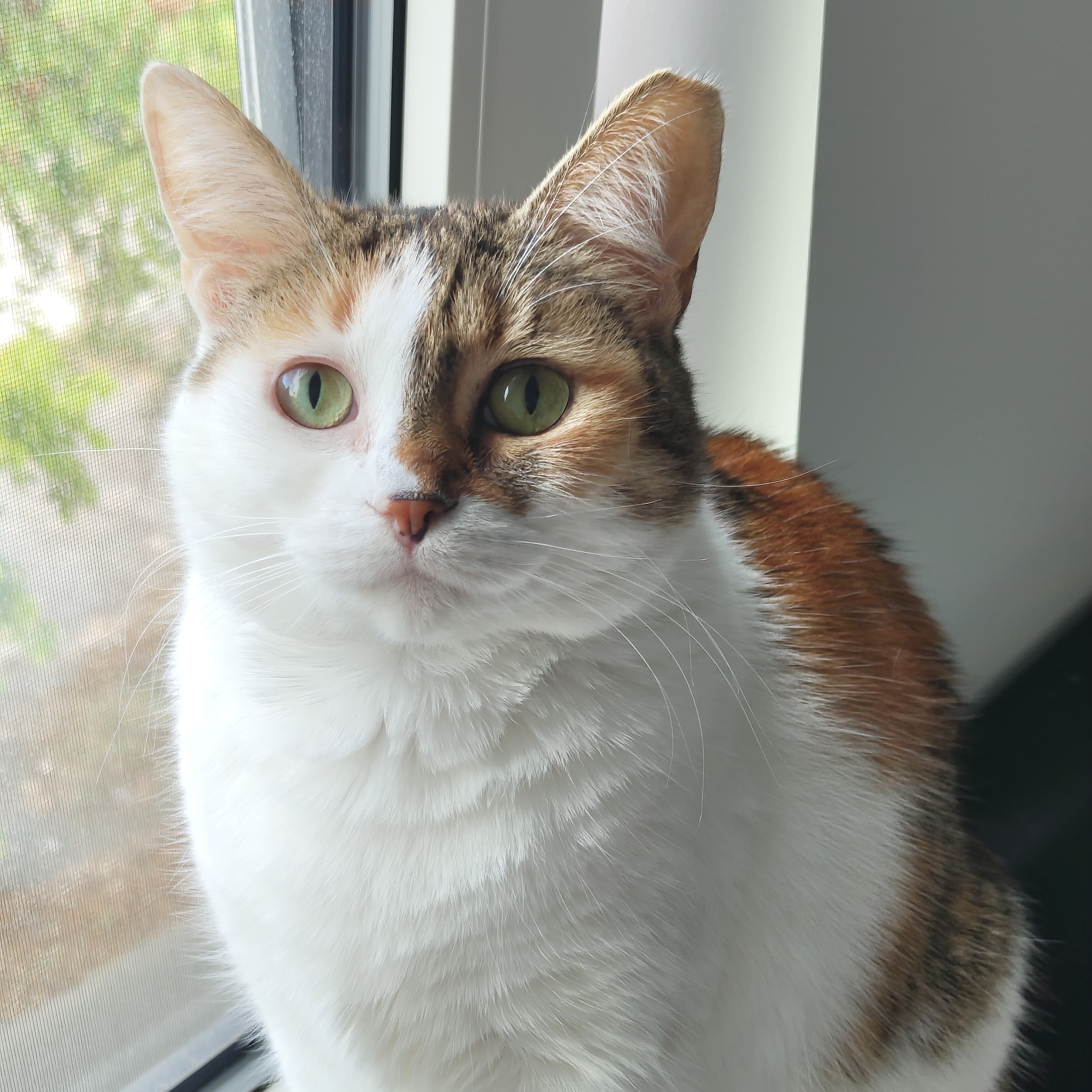 Lea