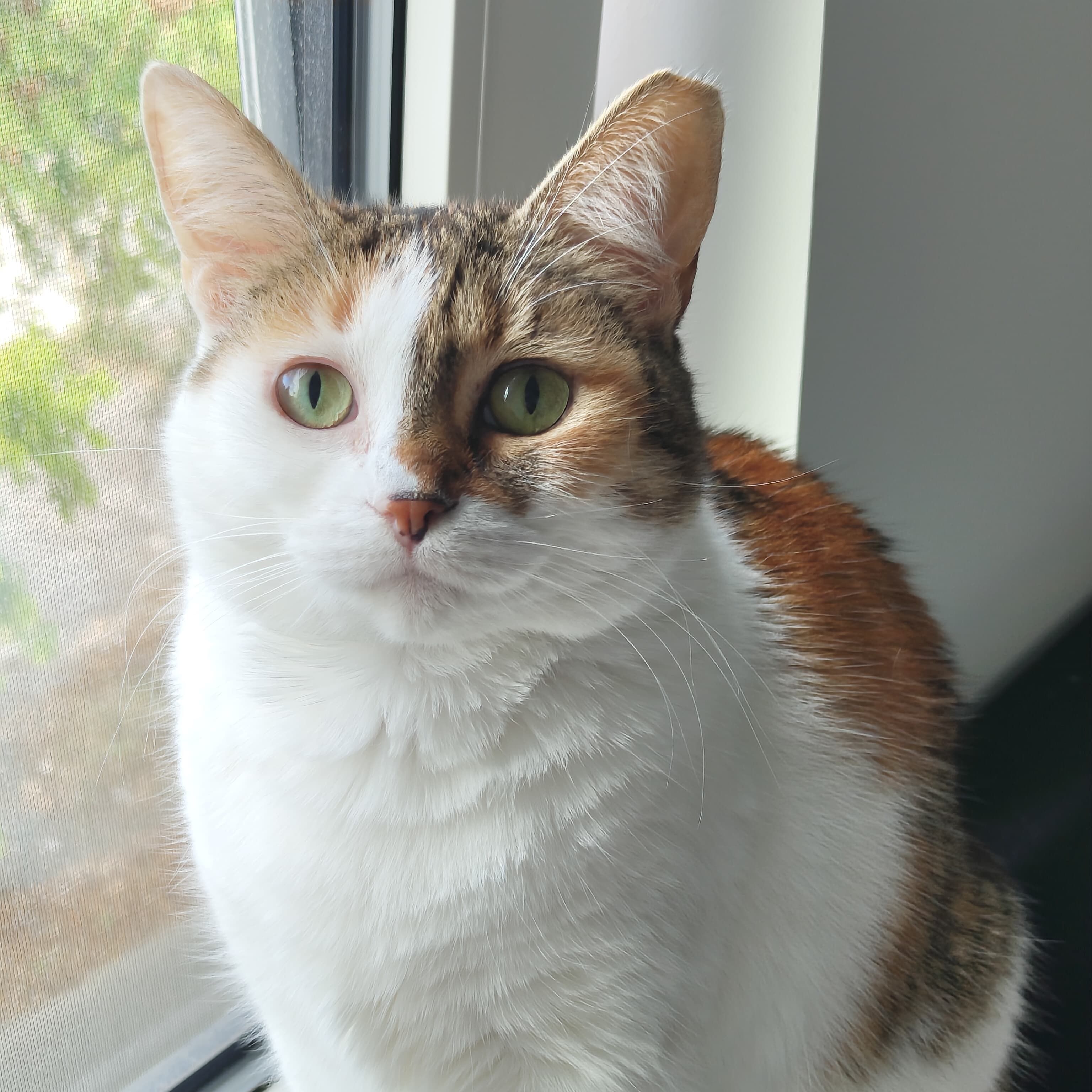 Lea