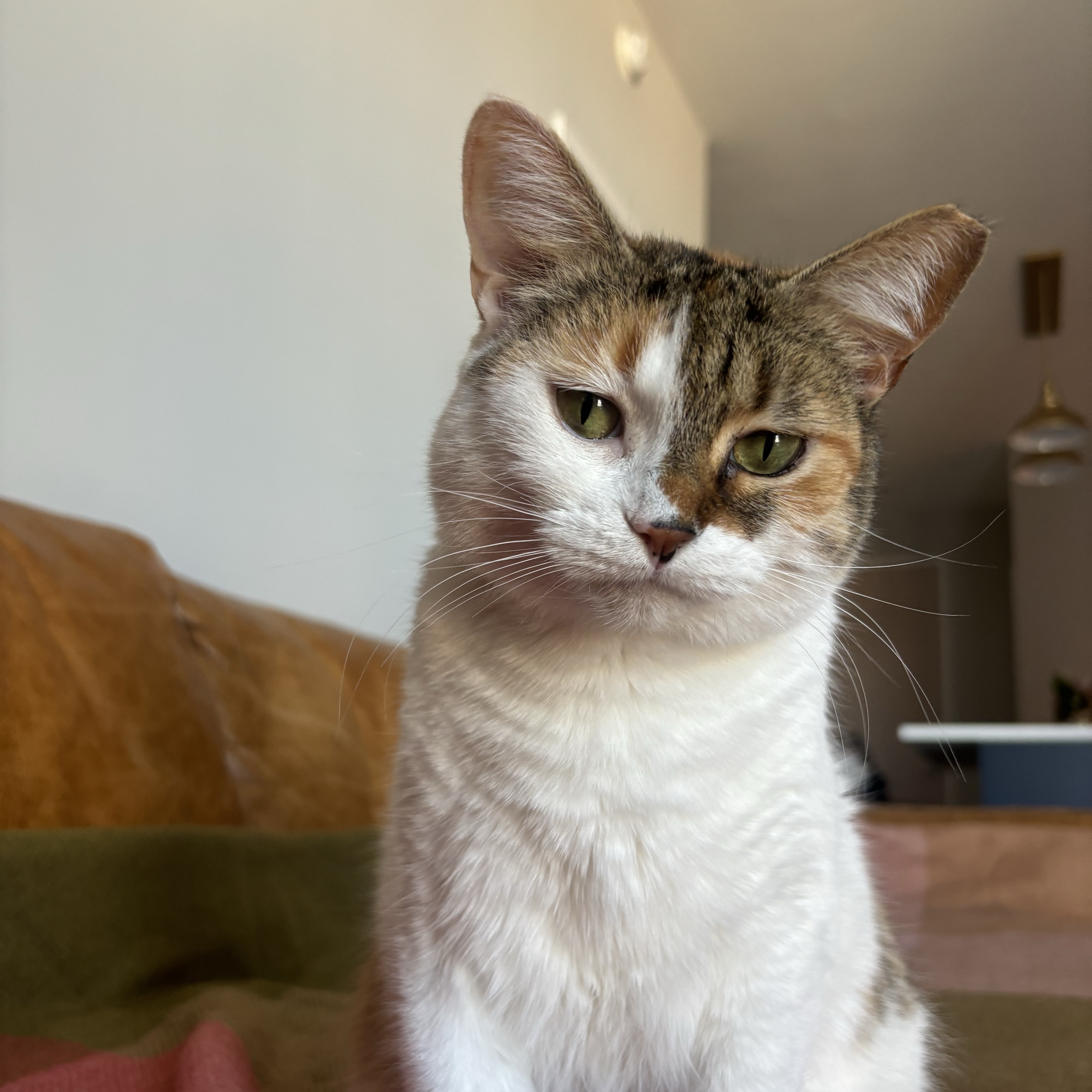 Lea