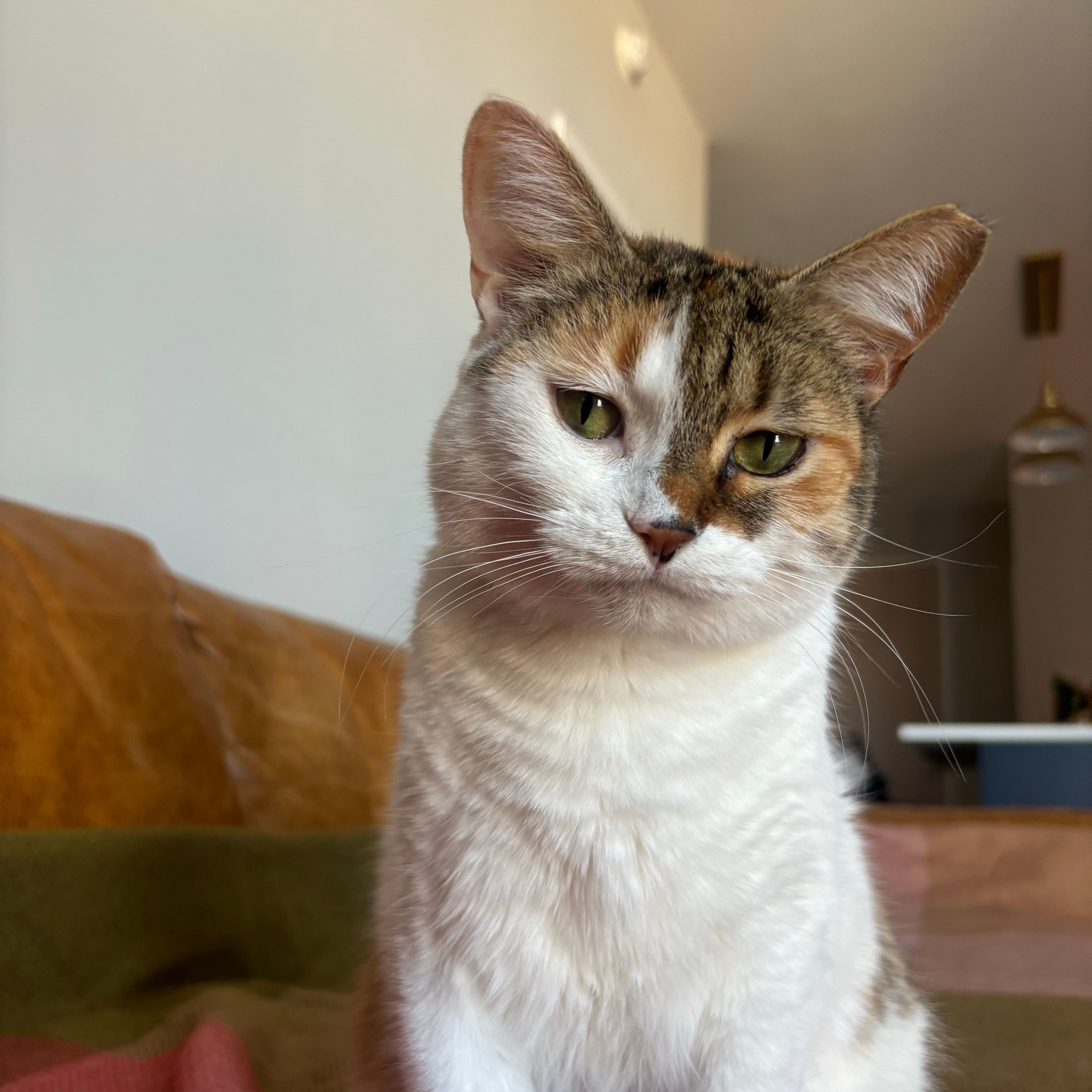 Lea