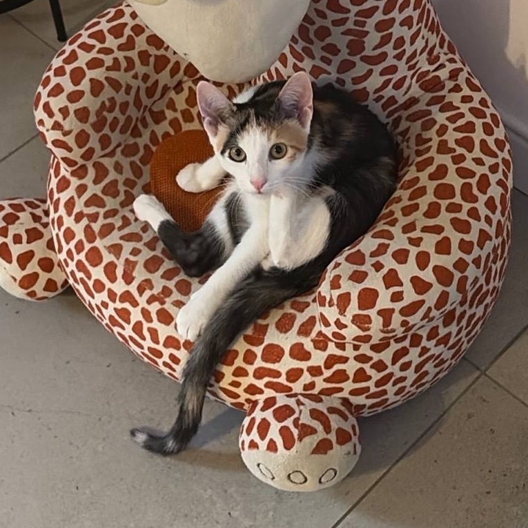 Luna