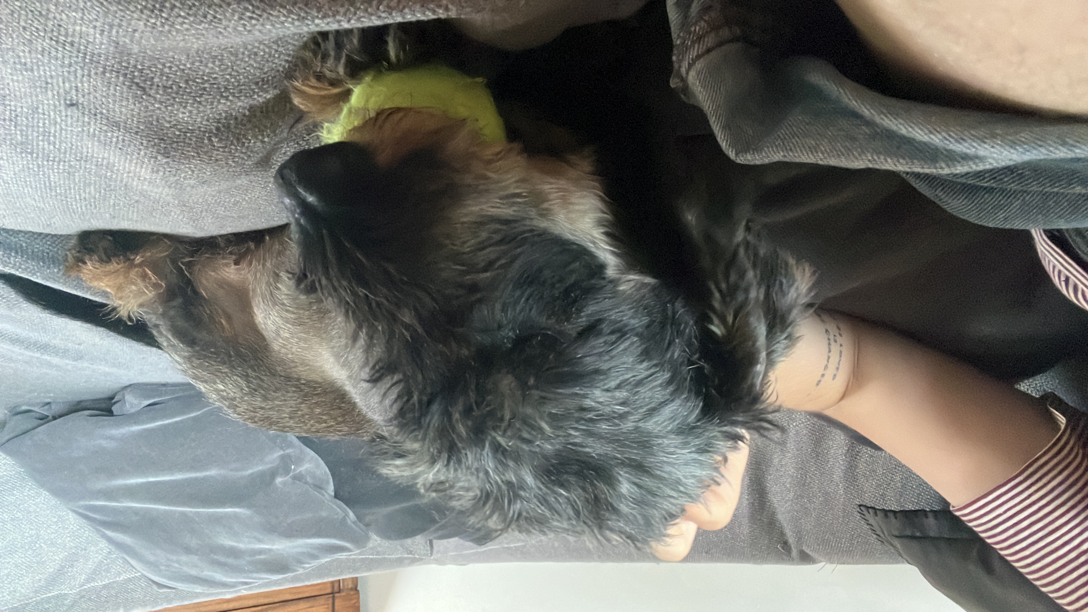 image-7