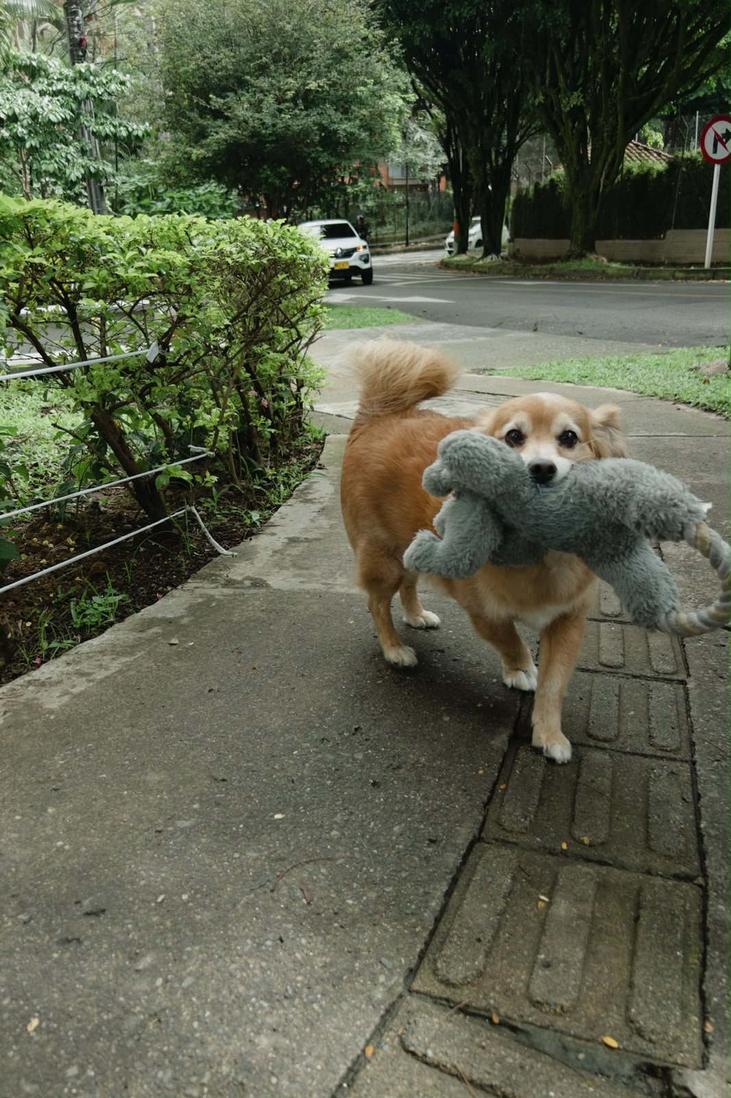 image-17